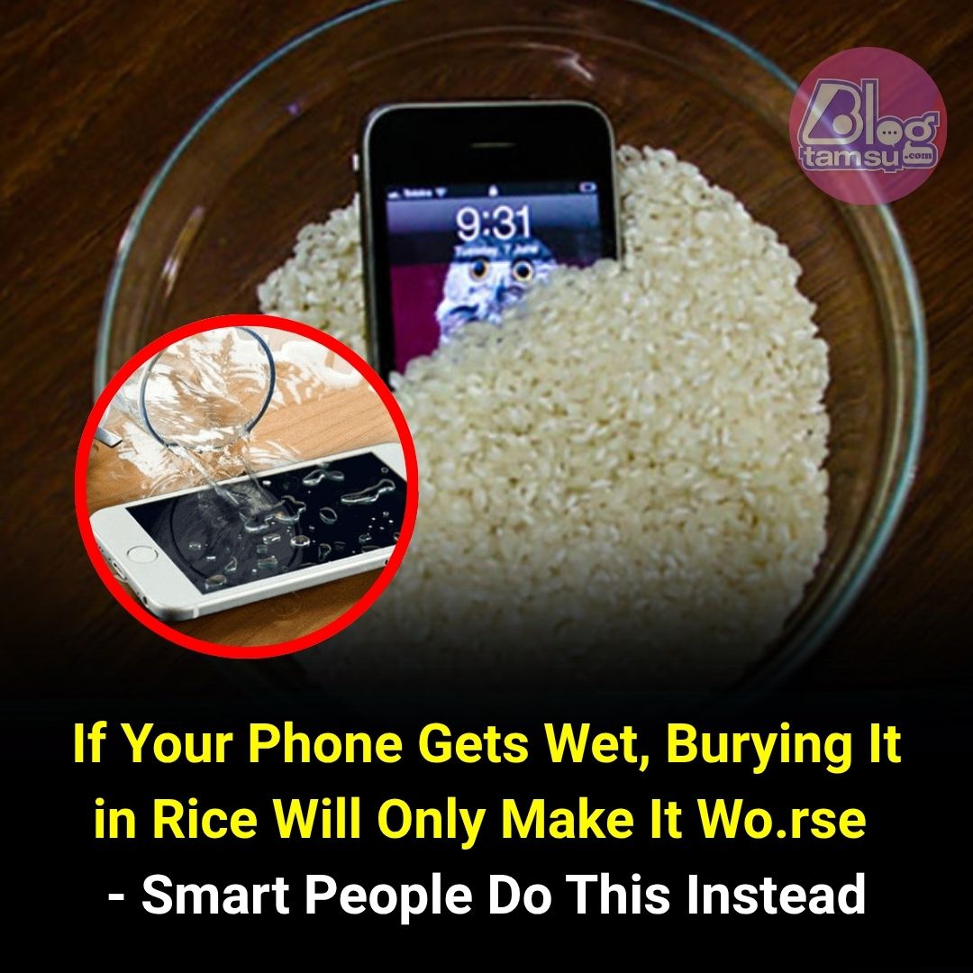 Blogtamsu - Never Bury Your Wet Phone in Rice — Smart People Swear by ...