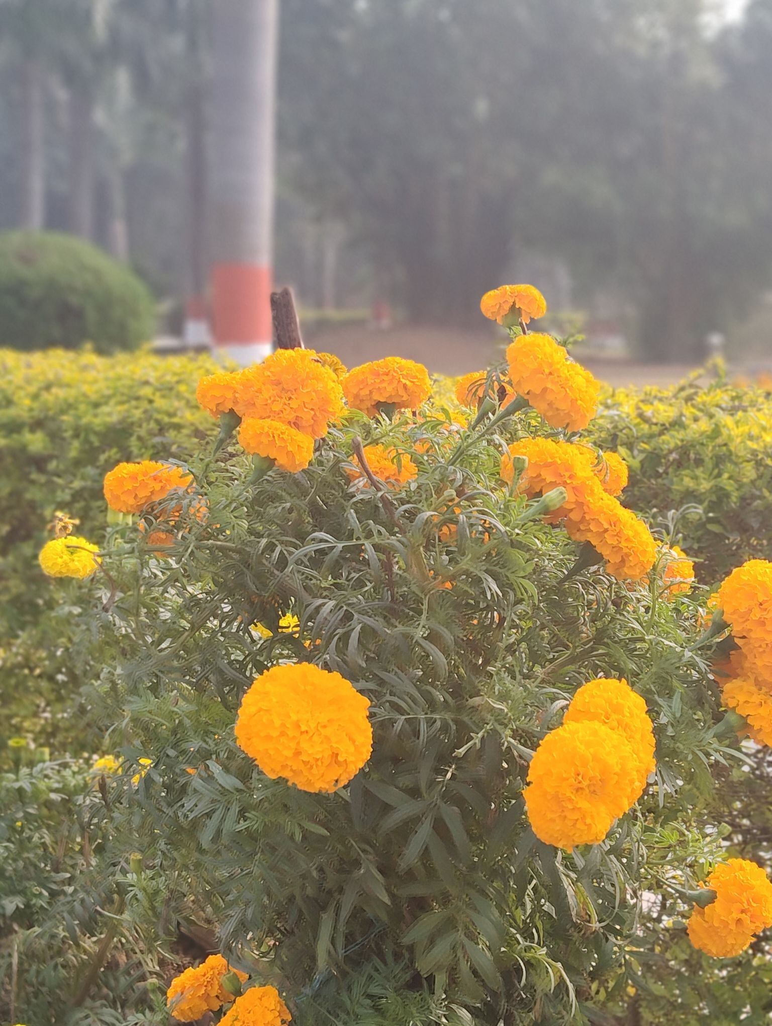 Vikash_yadav - #Hills_Mountains_Peaks Kaimur Range ️ Eastern portion of ...