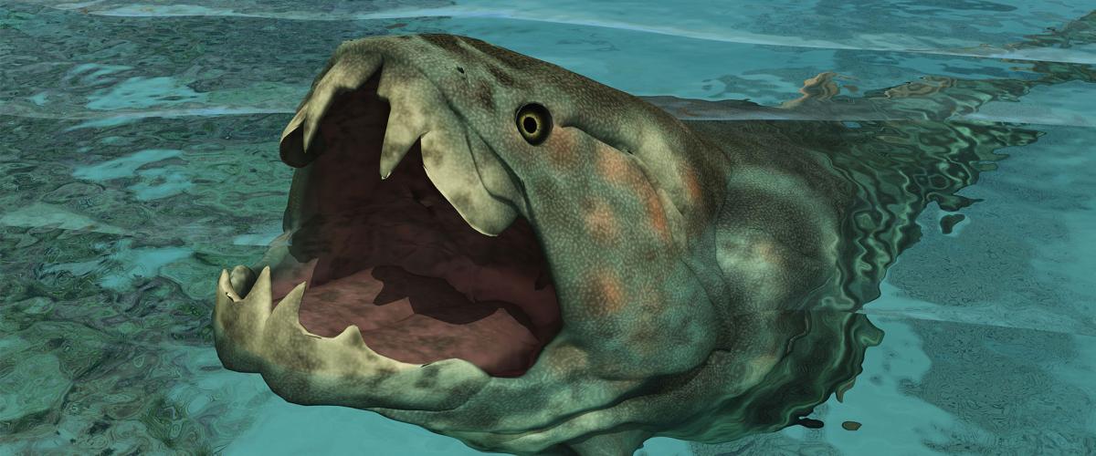 Earth Archives - New research reveals Dunkleosteus was an... | Facebook