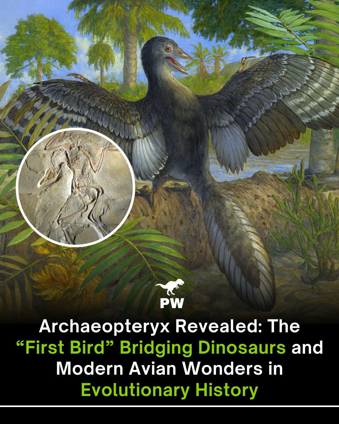 The Prehistoric - Unveiling the Past: Meet Archaeopteryx, the First ...