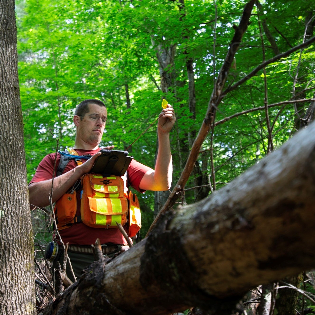 Wisconsin - Next Tuesday at 1pm CT, join us for AI for Foresters: Tools ...