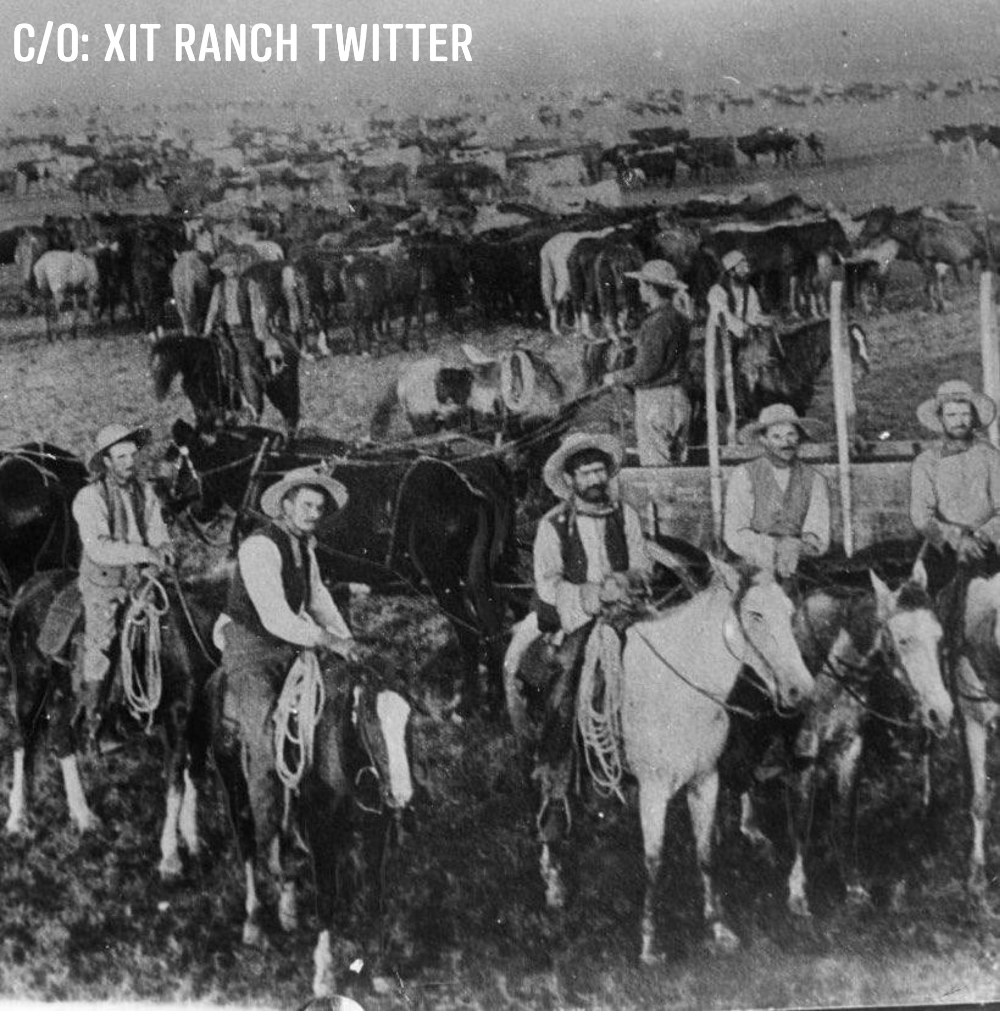 El Gallo Giro - The XIT Ranch in the 1880s was the largest...