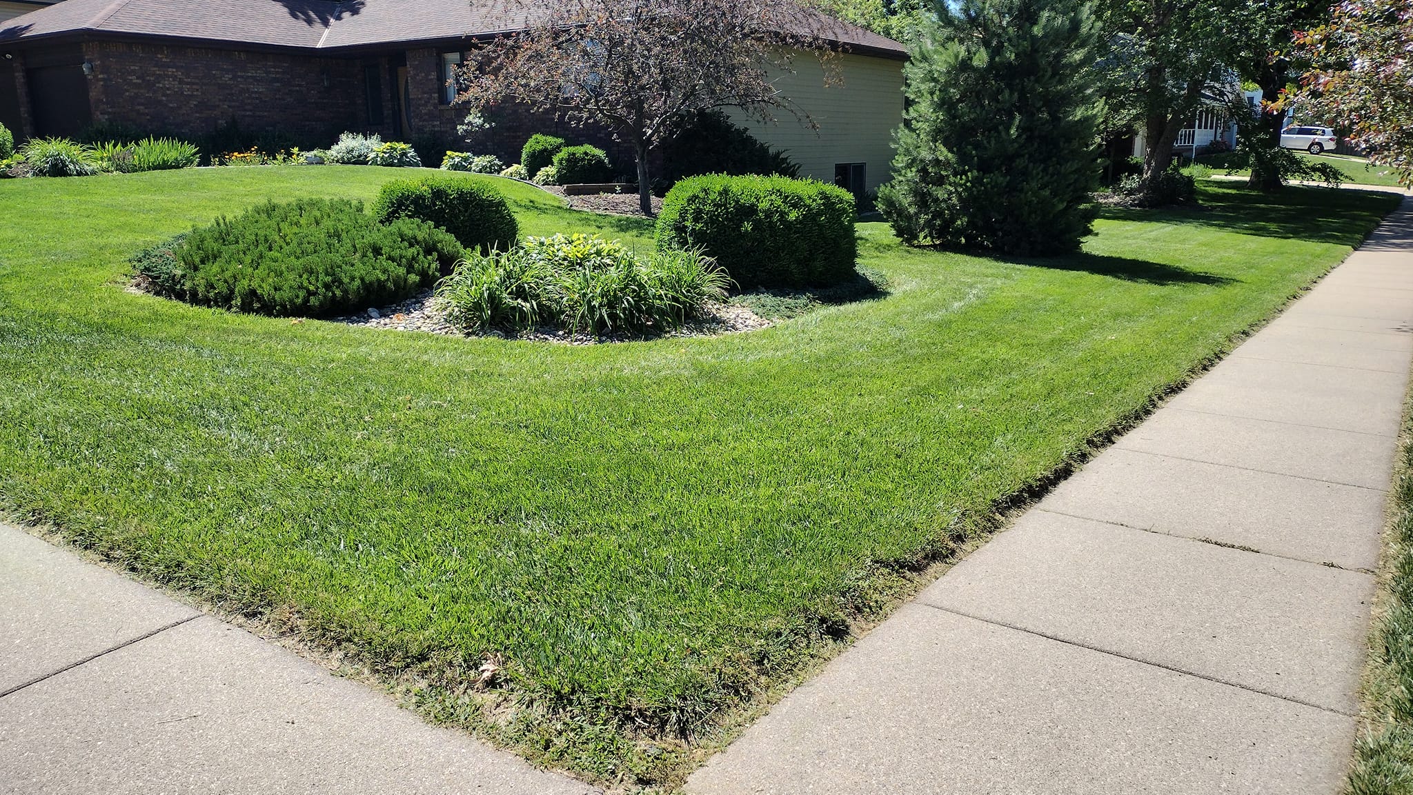 Dragon & Son Lawn care service | Lincoln NE