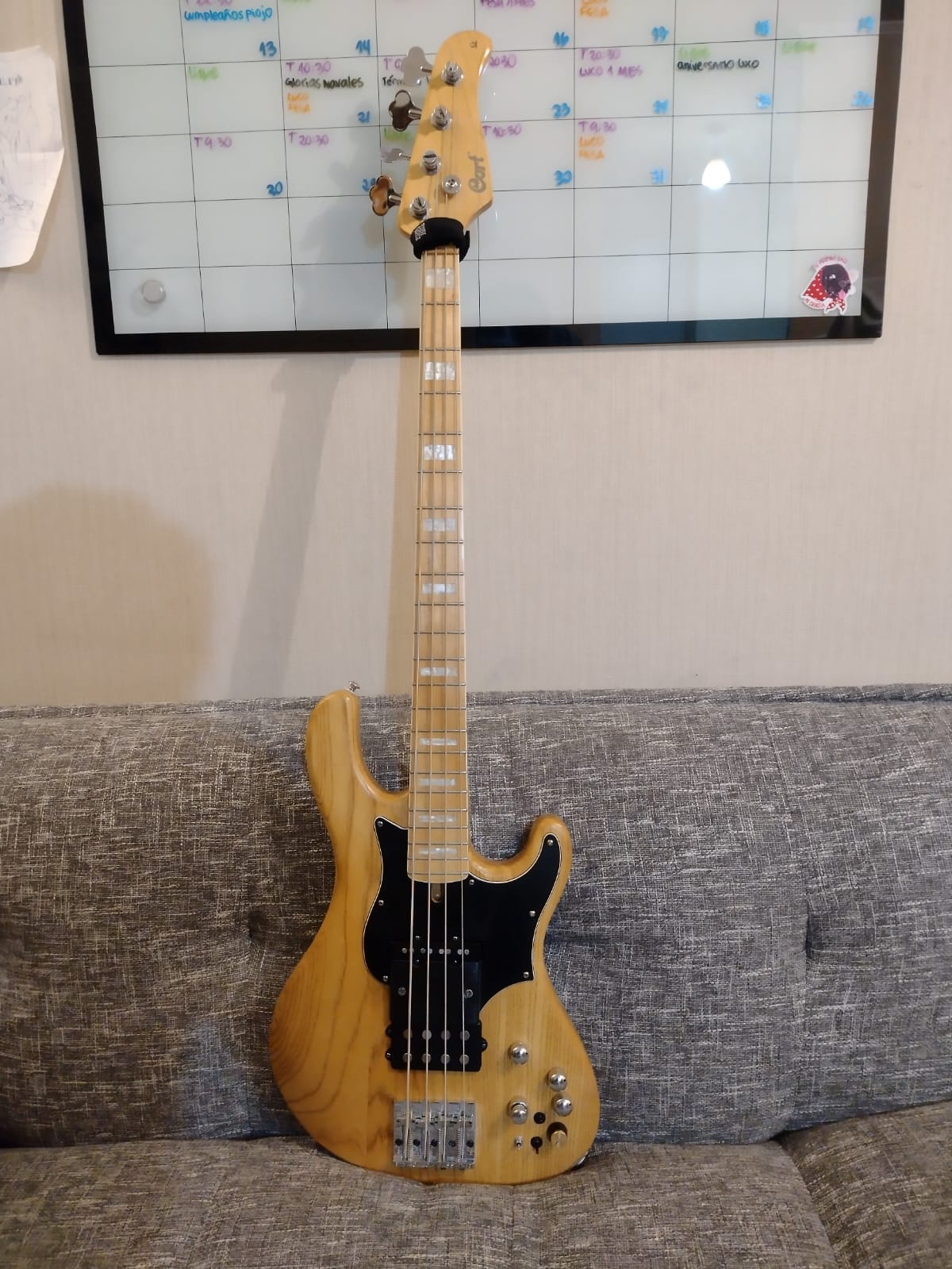 Bass player's custom Cort GB74 build