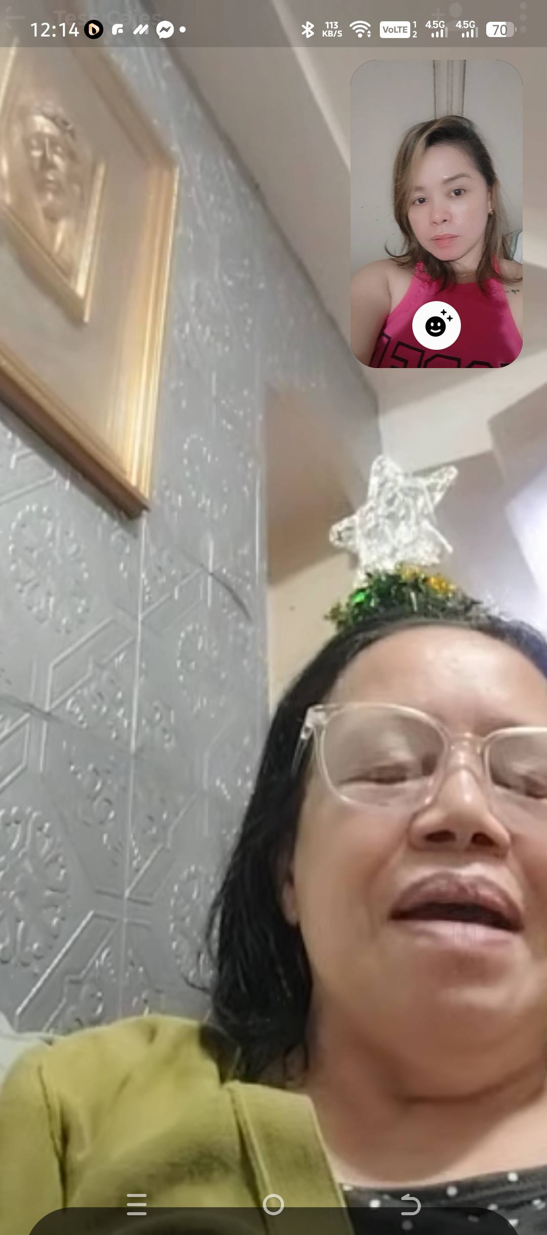 Diane Rox Caj