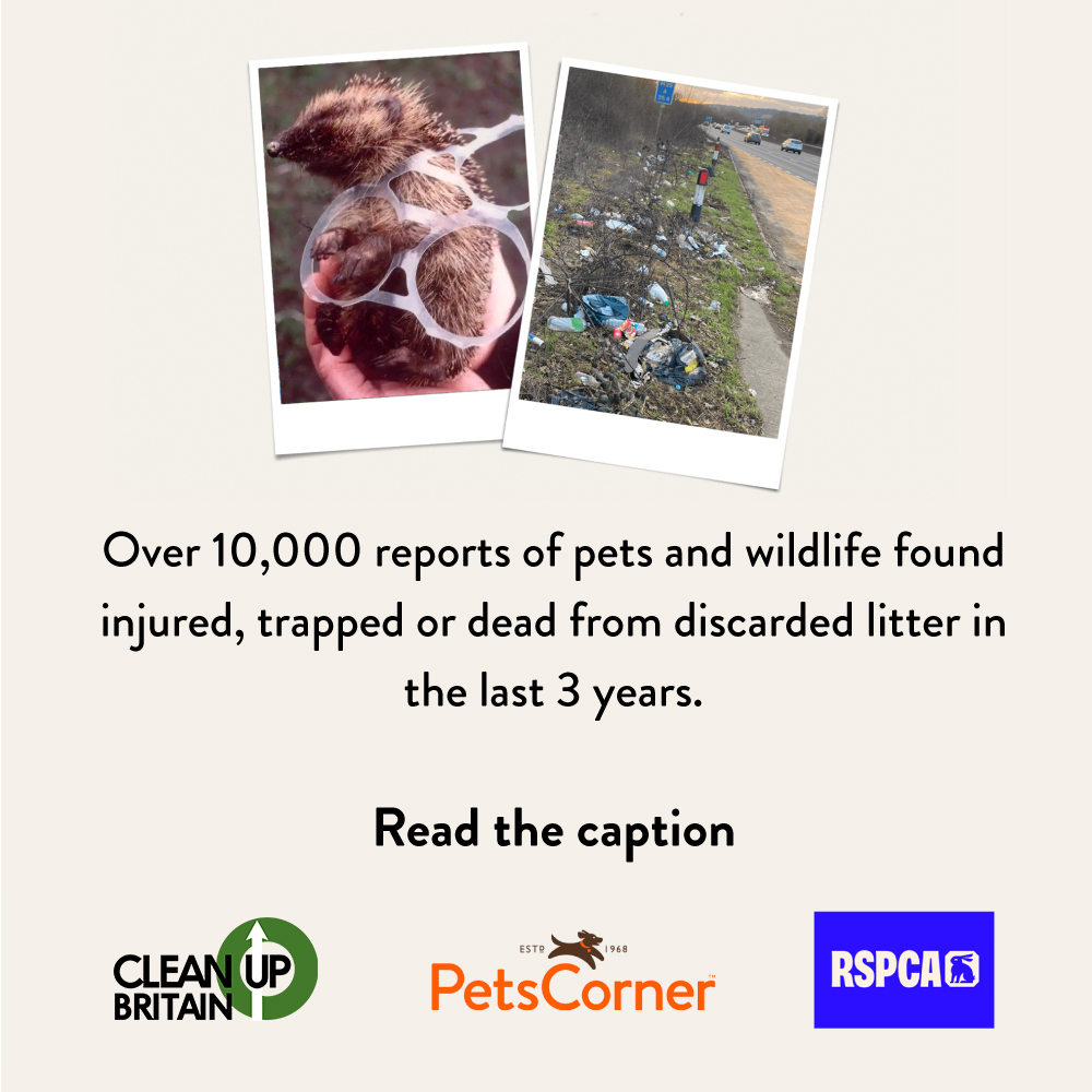 Pets - Did you know there have been over 10,000 reports of pets and ...