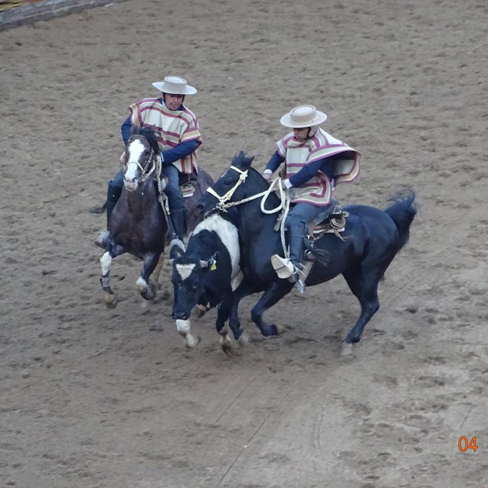RODEO CHILENO en Paraguay