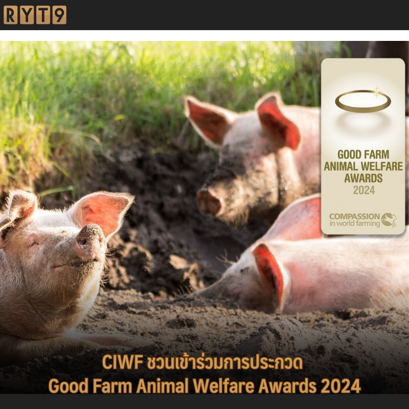 Compassion in World Farming (CIWF)... - ข่าวออนไลน์ RYT9 | Facebook