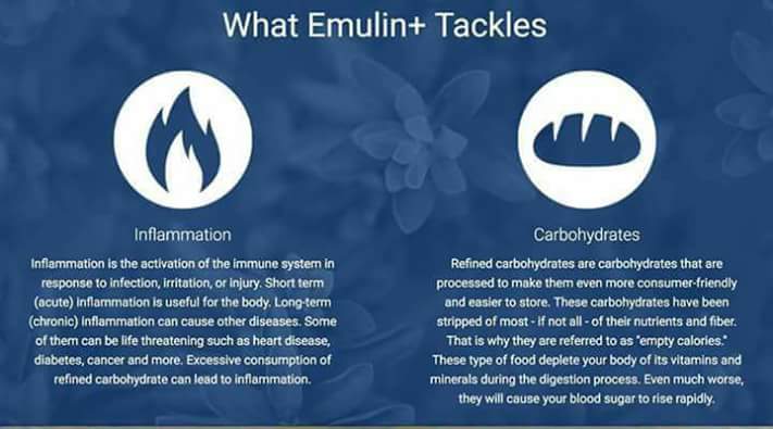 💥💥 Emulin 🌿🌿💥💥 🌿 Vegan 🌿 3... - Emulin by Igalen.philippines | Facebook