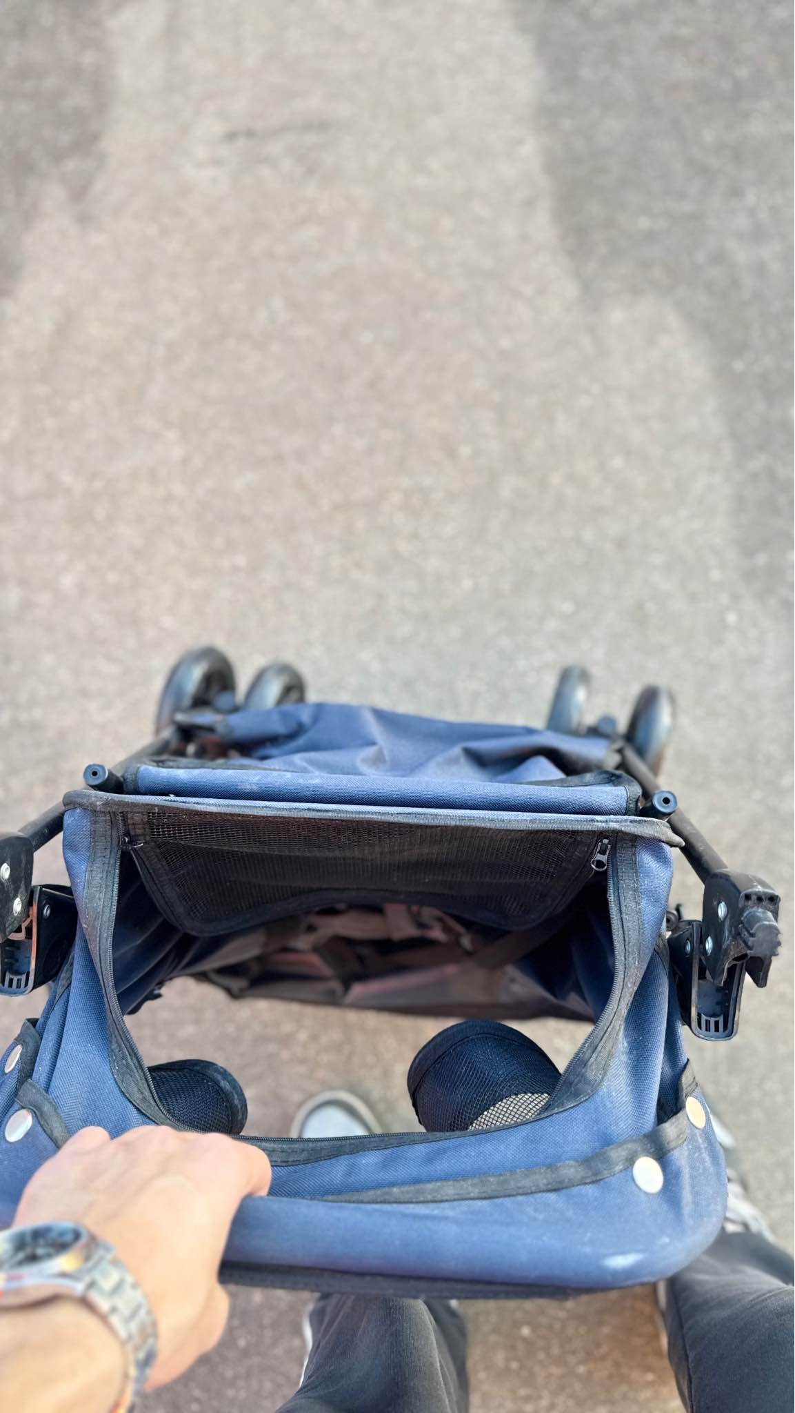 Pet stroller - Pet Strollers - Houston, Texas | Facebook Marketplace ...