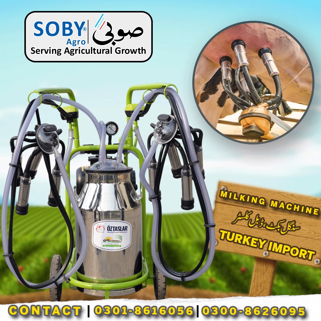 Soby - Cow Milking Machine | Single Bucket Double Cluster Machine | # ...