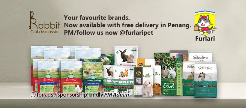 Rabbits Lovers 🐰 | Facebook