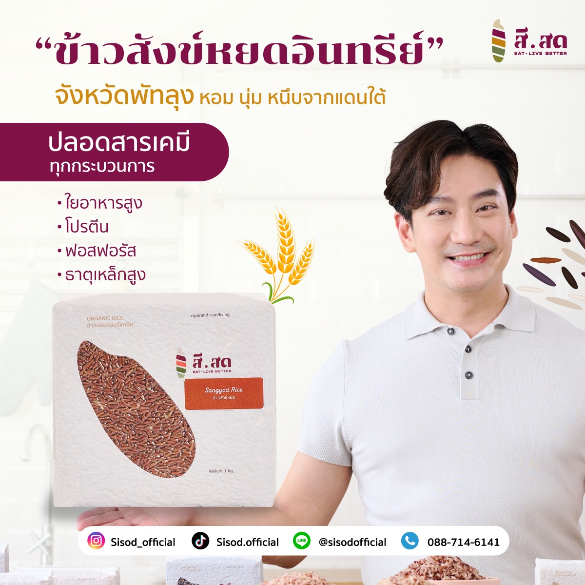 สีสด - 🍚🎋 ข้าวสังข์หยดอินทรีย์จากจังหวัดพัทลุง เป็นข้าวที่มีคุณภาพสูง ...