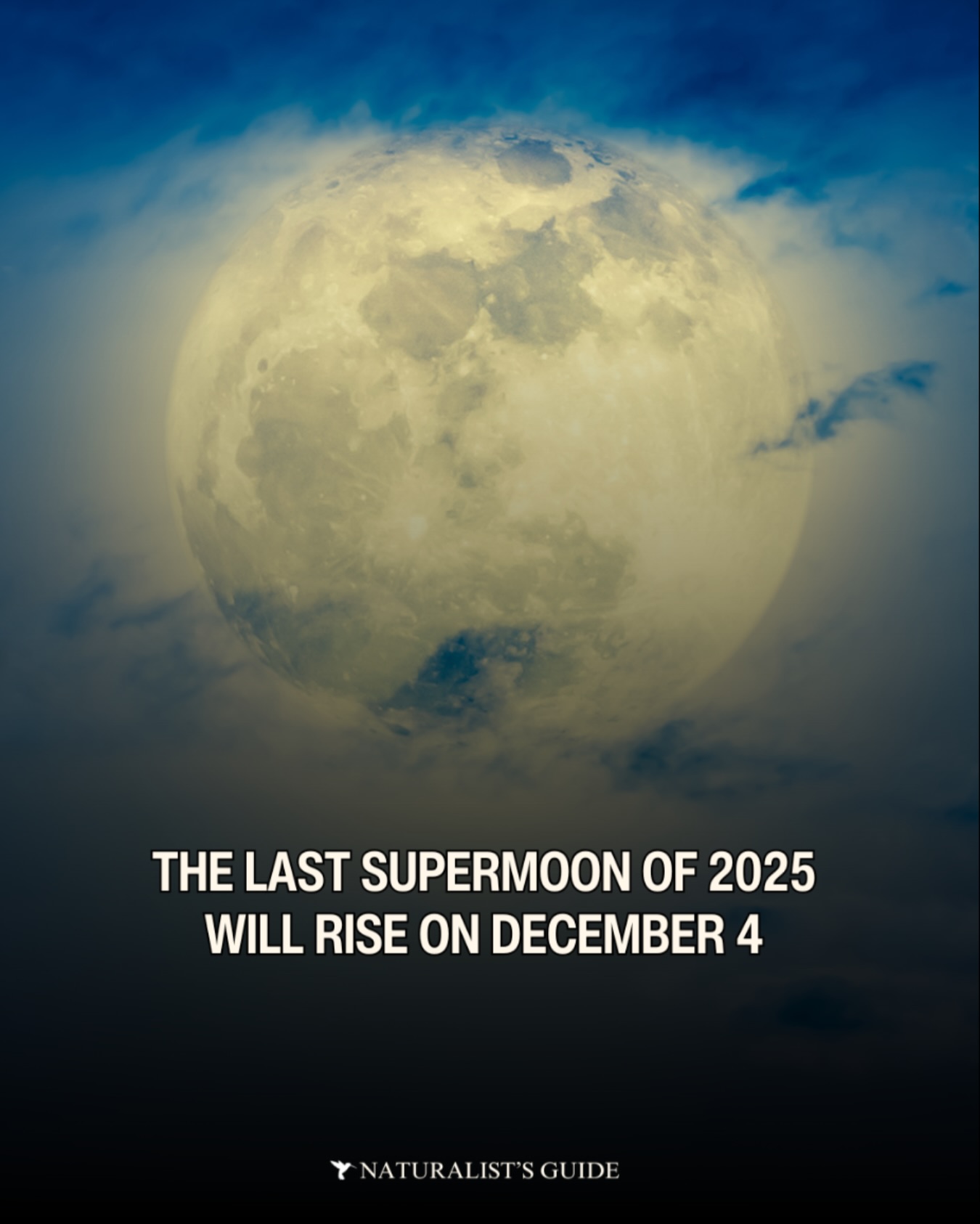 Naturalist's - 🗓️ Mark your calendar! 🌕 The last Supermoon of 2025 will ...