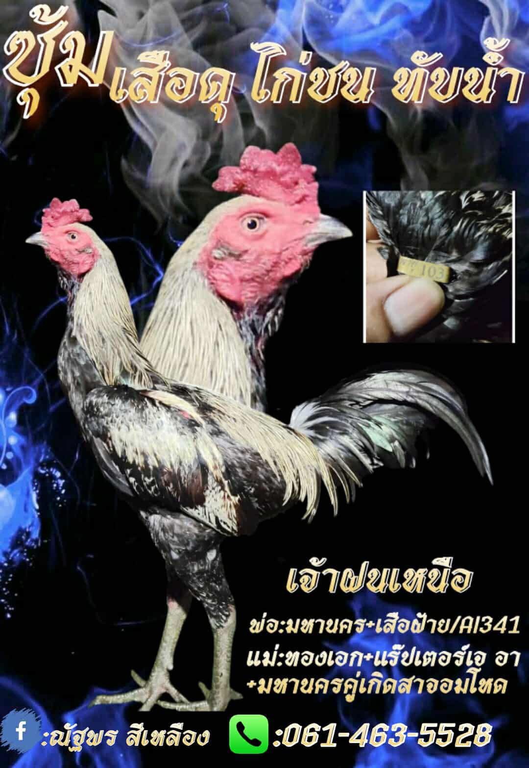 Champ Narun
