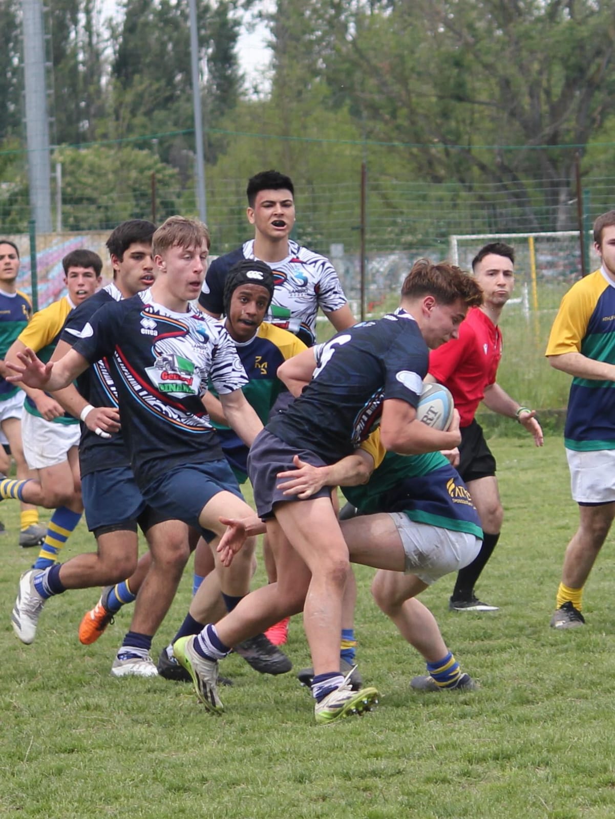 Lambro Rugby