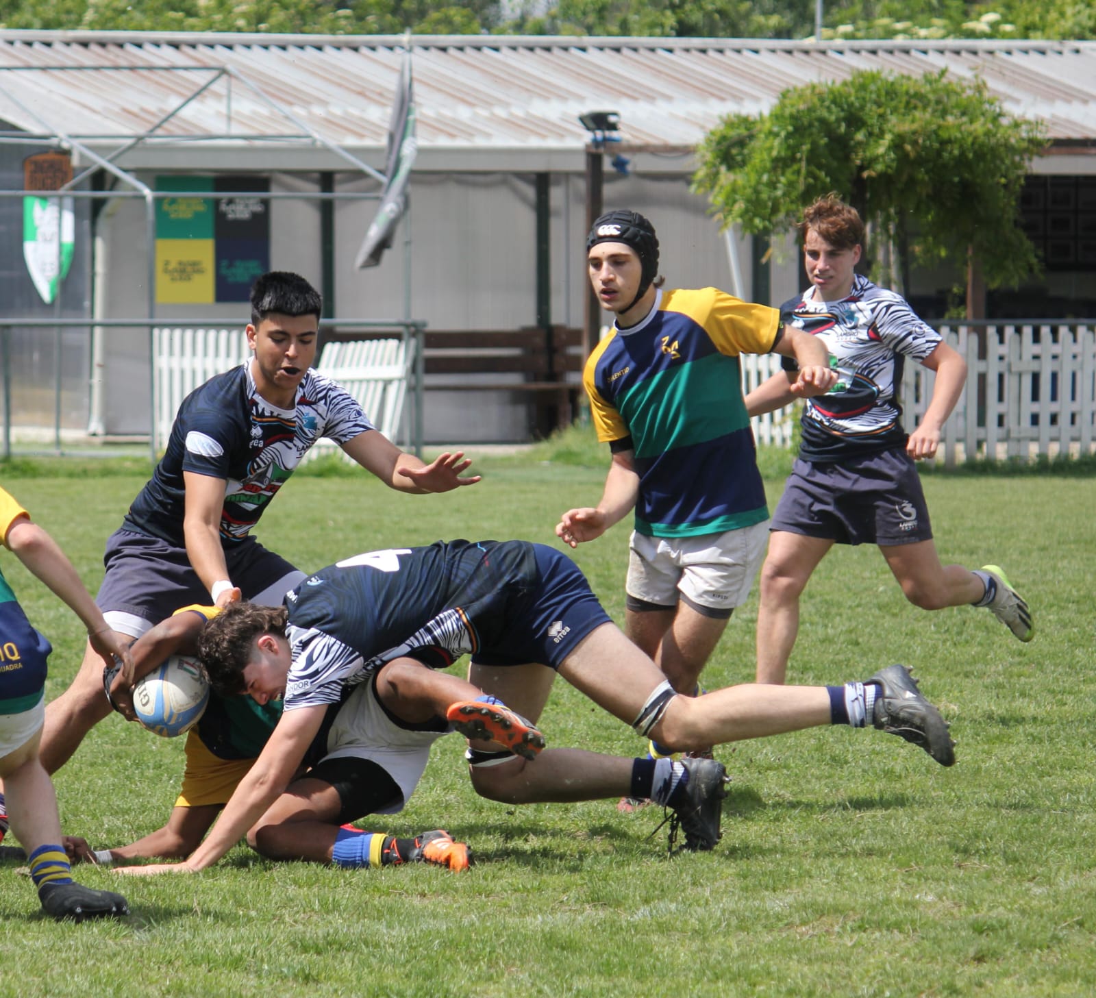 Lambro Rugby