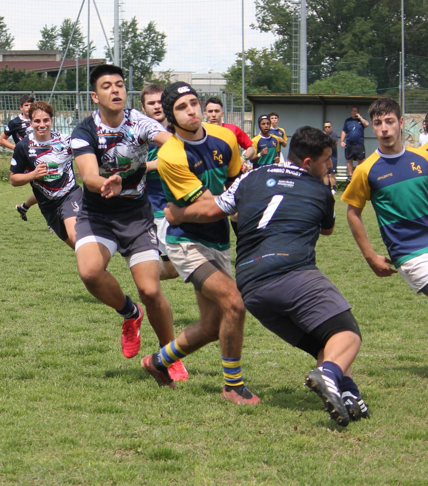 Lambro Rugby