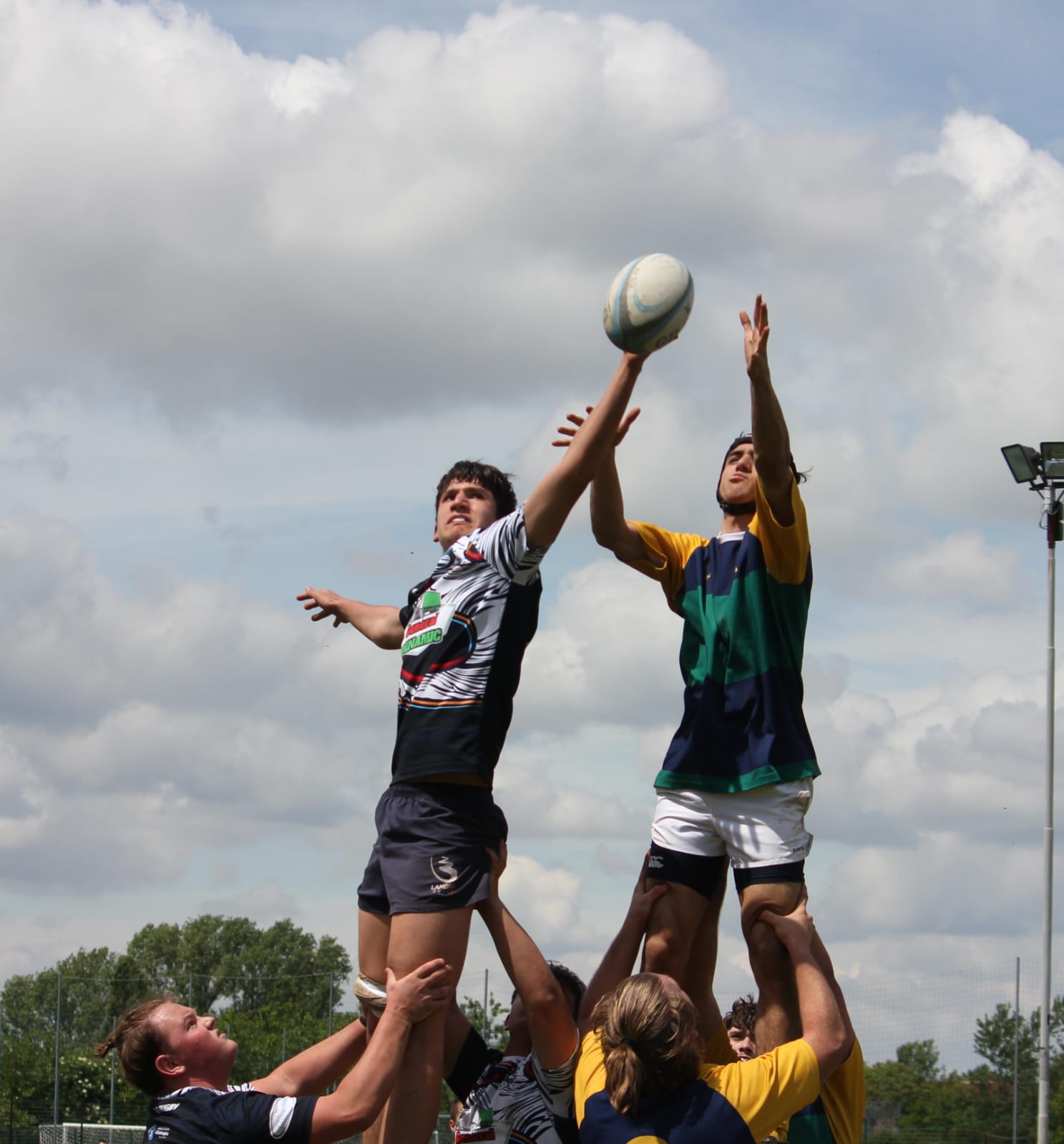 Lambro Rugby