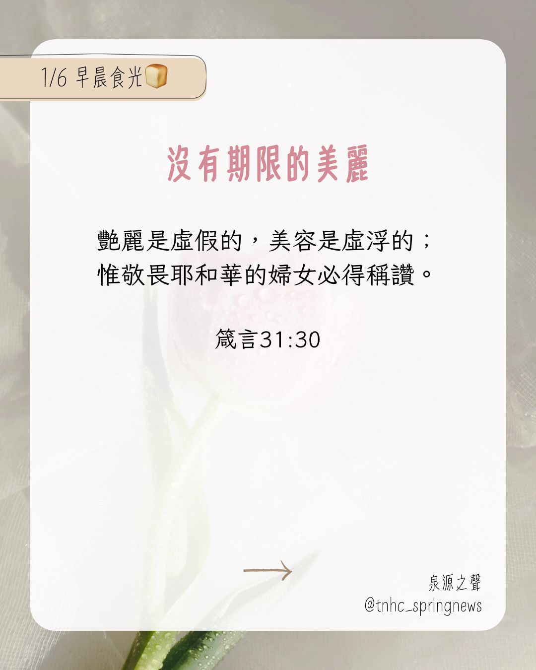泉源之聲 The Spring News