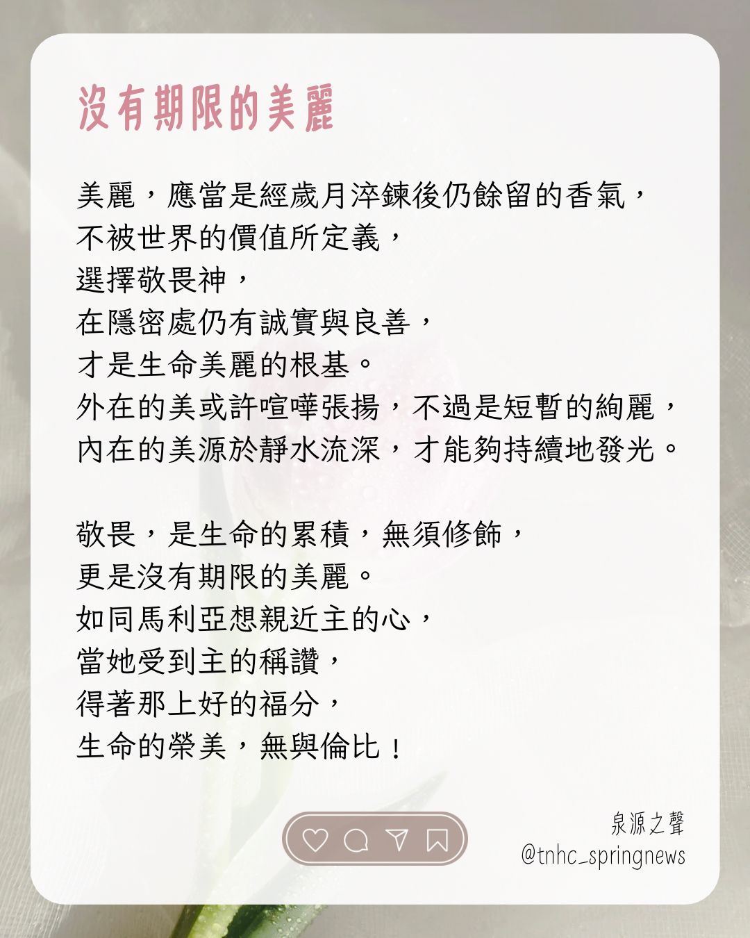 泉源之聲 The Spring News