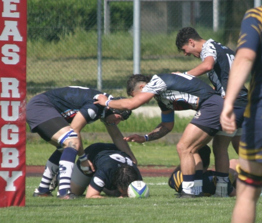 Lambro Rugby
