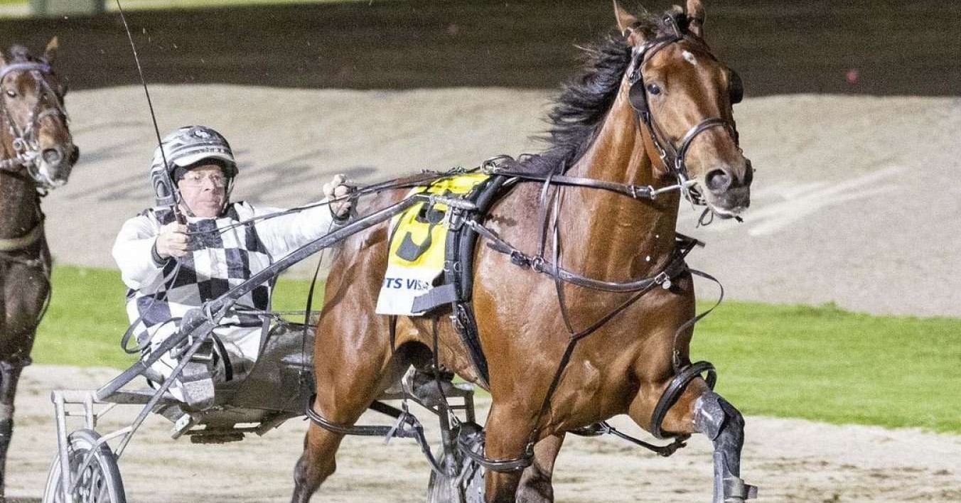 Pony rides, jumping... - Cranbourne Harness Racing Club | Facebook
