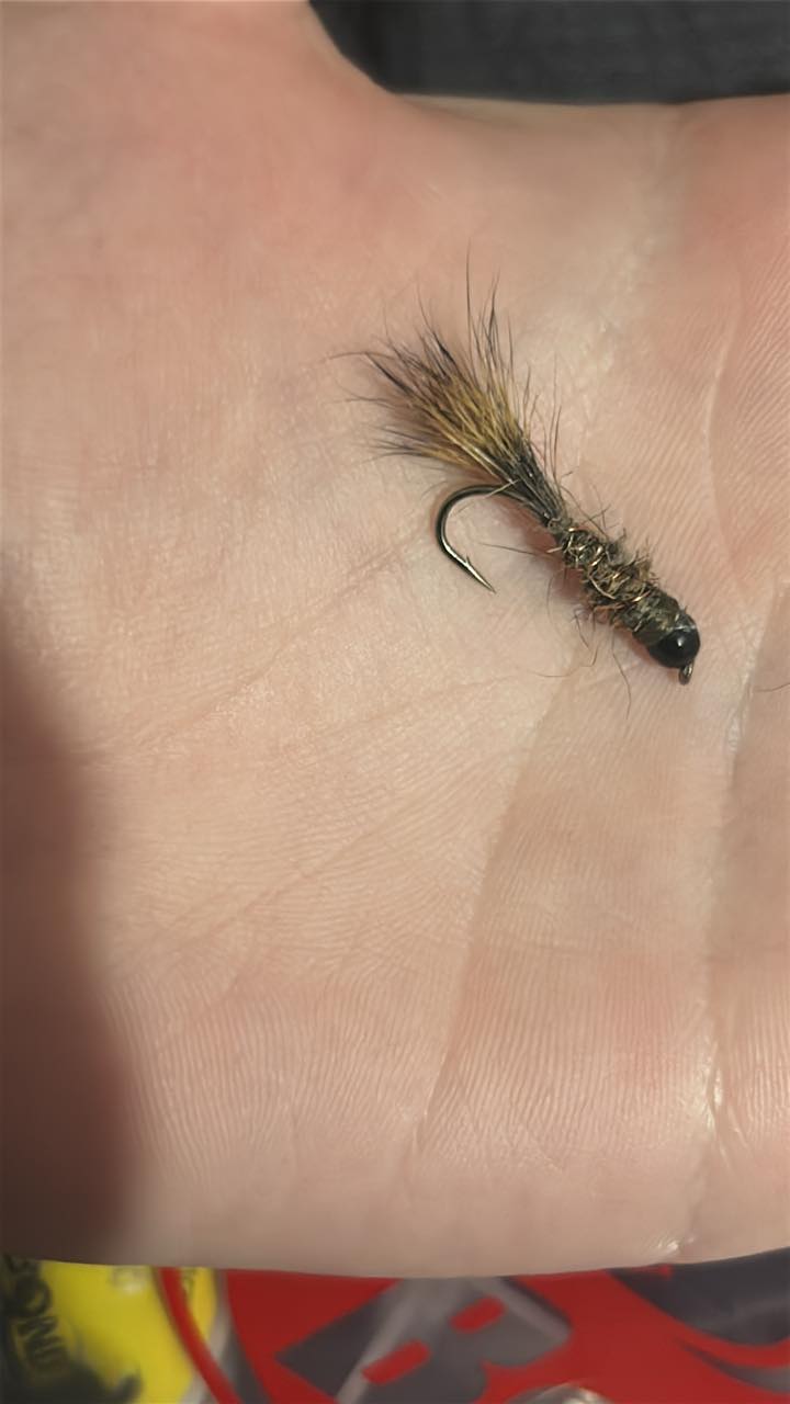 New to tying flies was wondering some ideas that would help me get ...