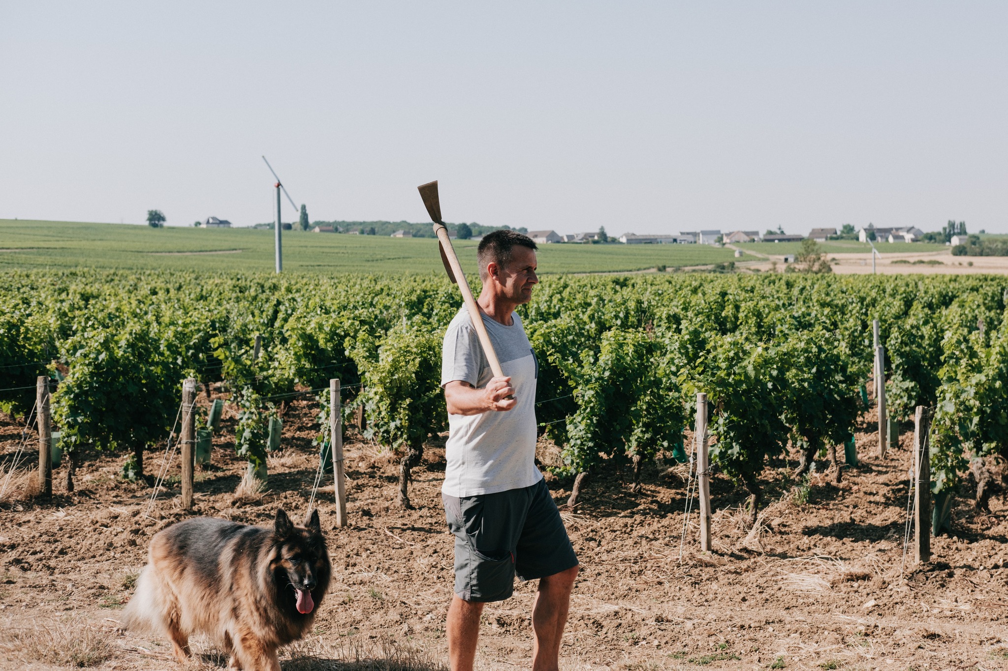 Domaine Mathieu Cosme added a new... - Domaine Mathieu Cosme