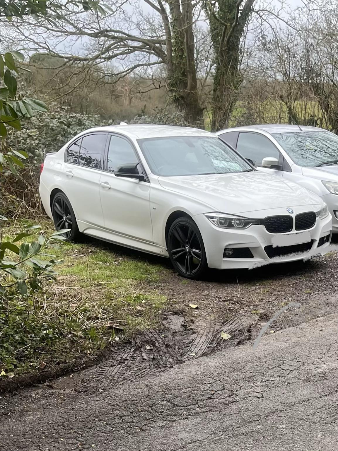 Need More than 30mm ! BMW F30 340i Dropped 45MM Front & Rear on