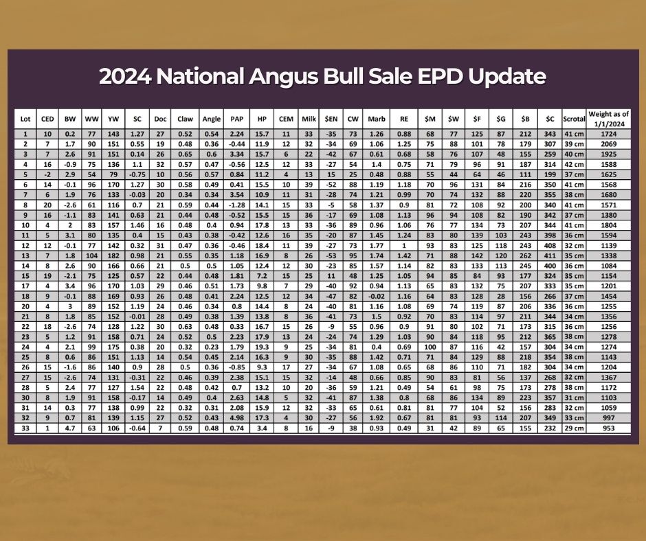 The 2024 National Angus Bull... - American Angus Association | Facebook
