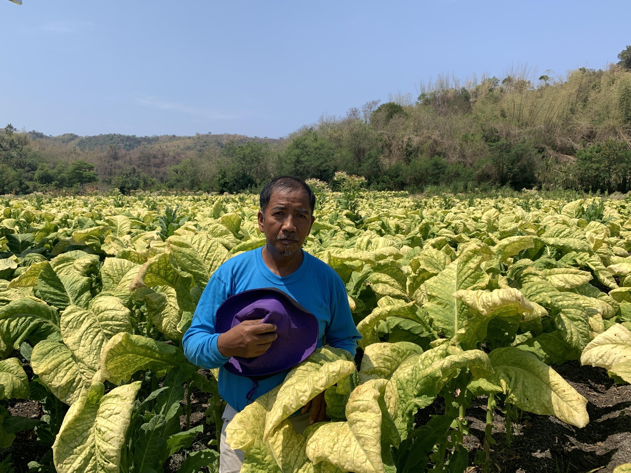 tobacco industry facts Community Commons