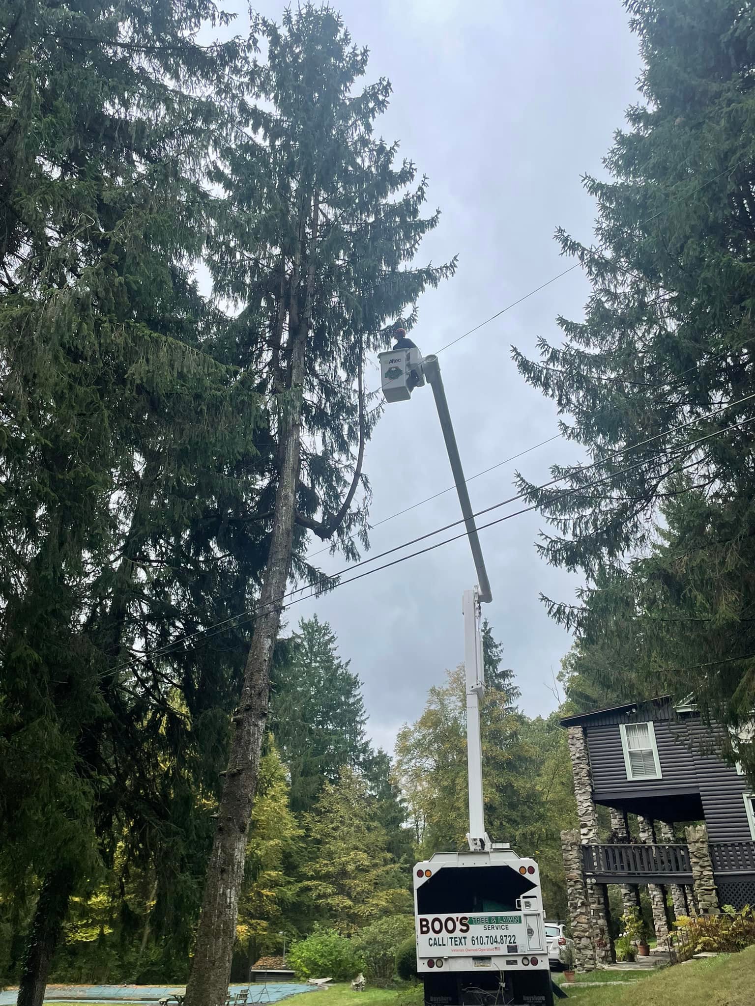 Boo's Tree & Lawn Service