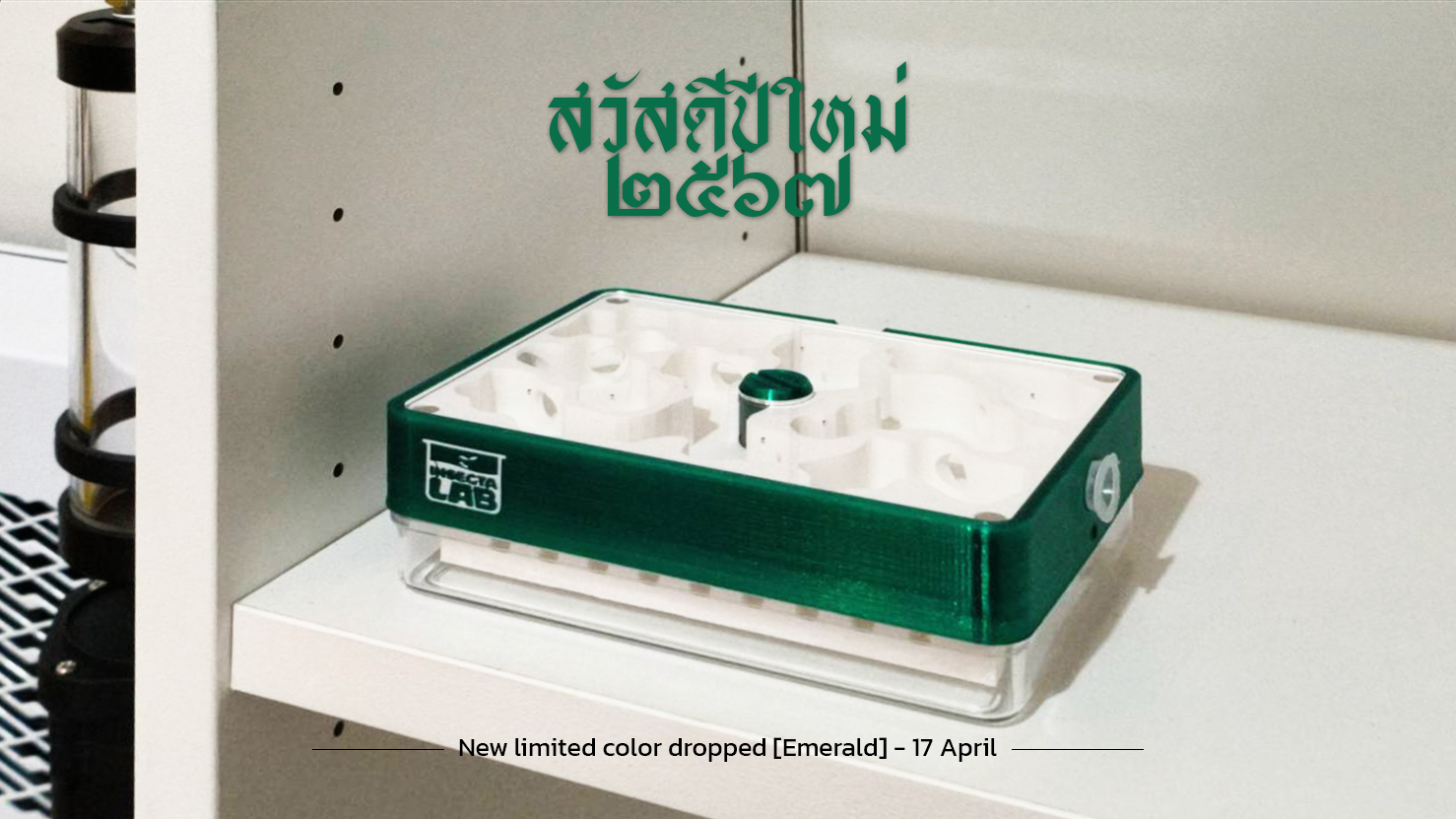 Insecta Lab - สวัสดีปีใหม่ไทย ๒๕๖๗ ครับ คนเลี้ยงมดทุกคน... | Facebook
