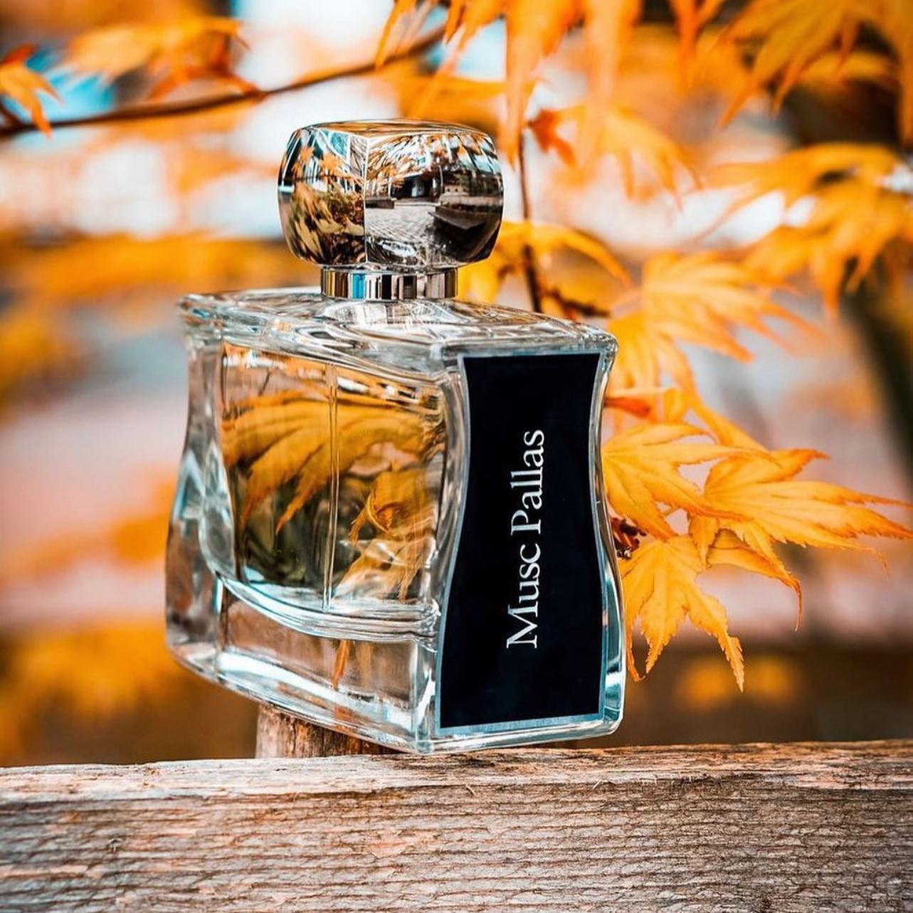 Le Parfum, Wien - NEW IN: Jovoy • Musc Pallas Musc Pallas 