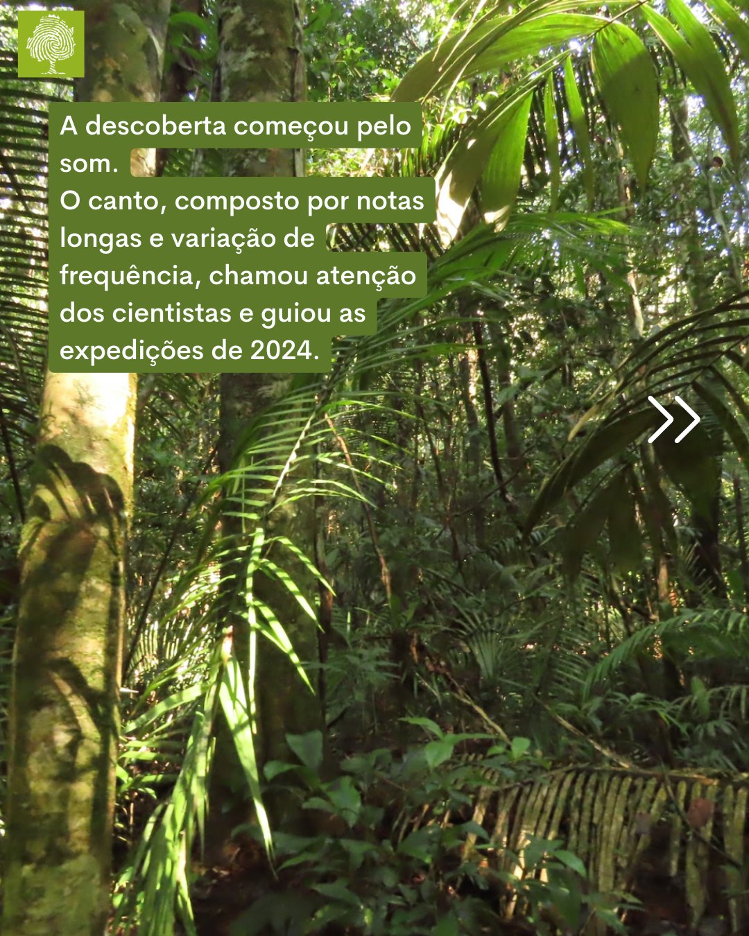 EBCF (Empresa Brasileira de Conservação de Florestas)