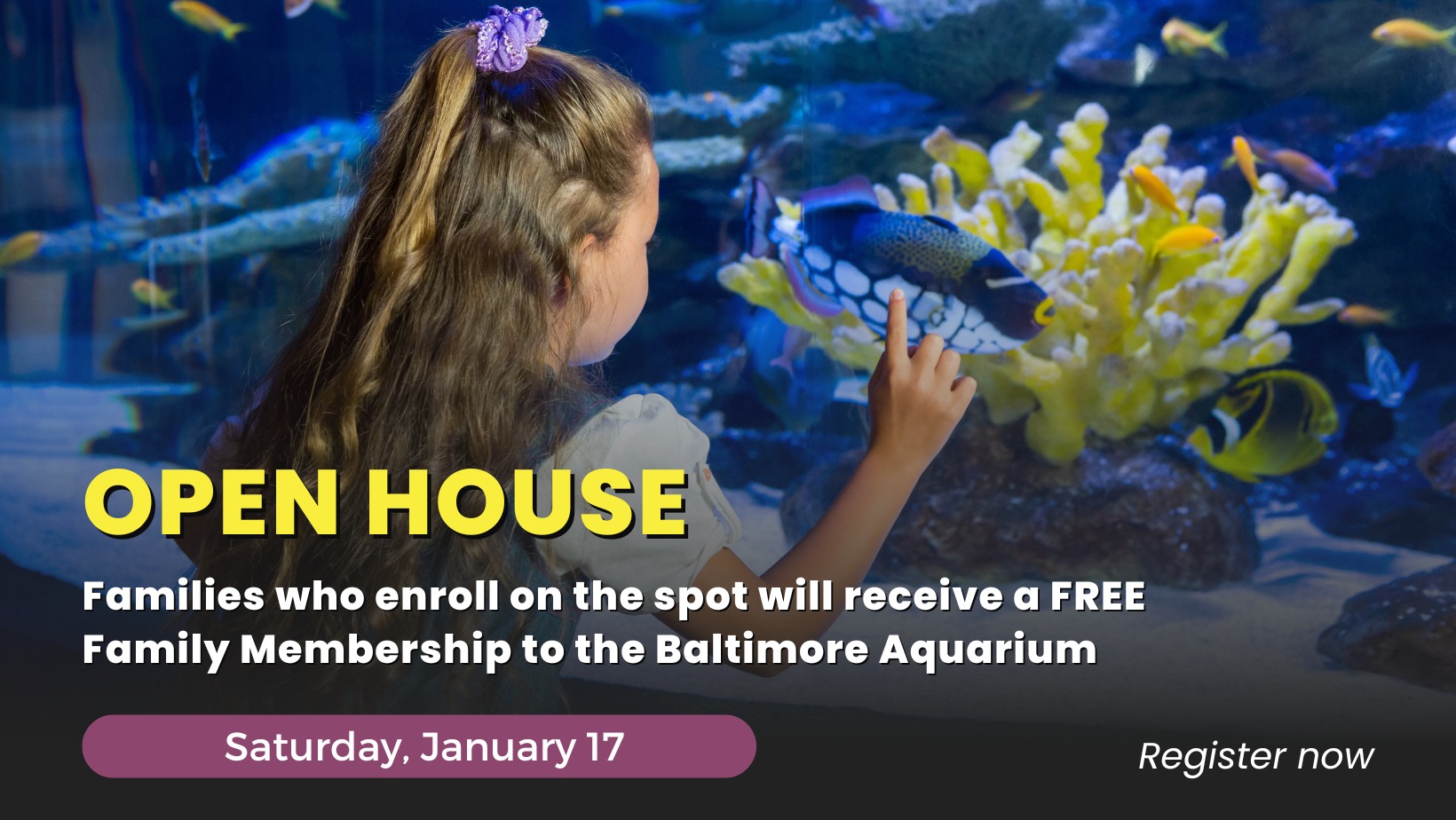 The Baltimore Early Learning Center - Canton | Baltimore MD