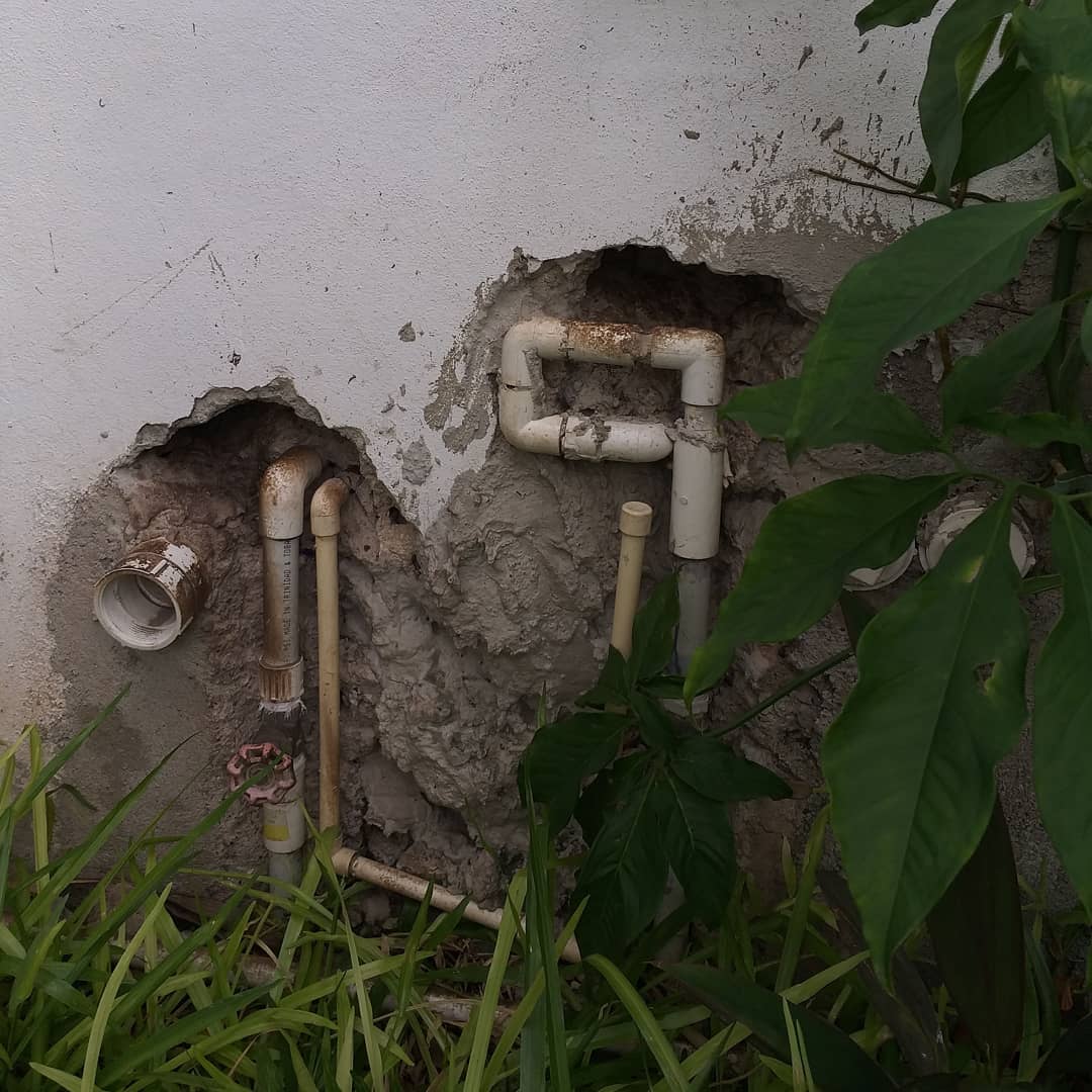 M.W Pest Control - A customer called about rat problems, an inspection ...