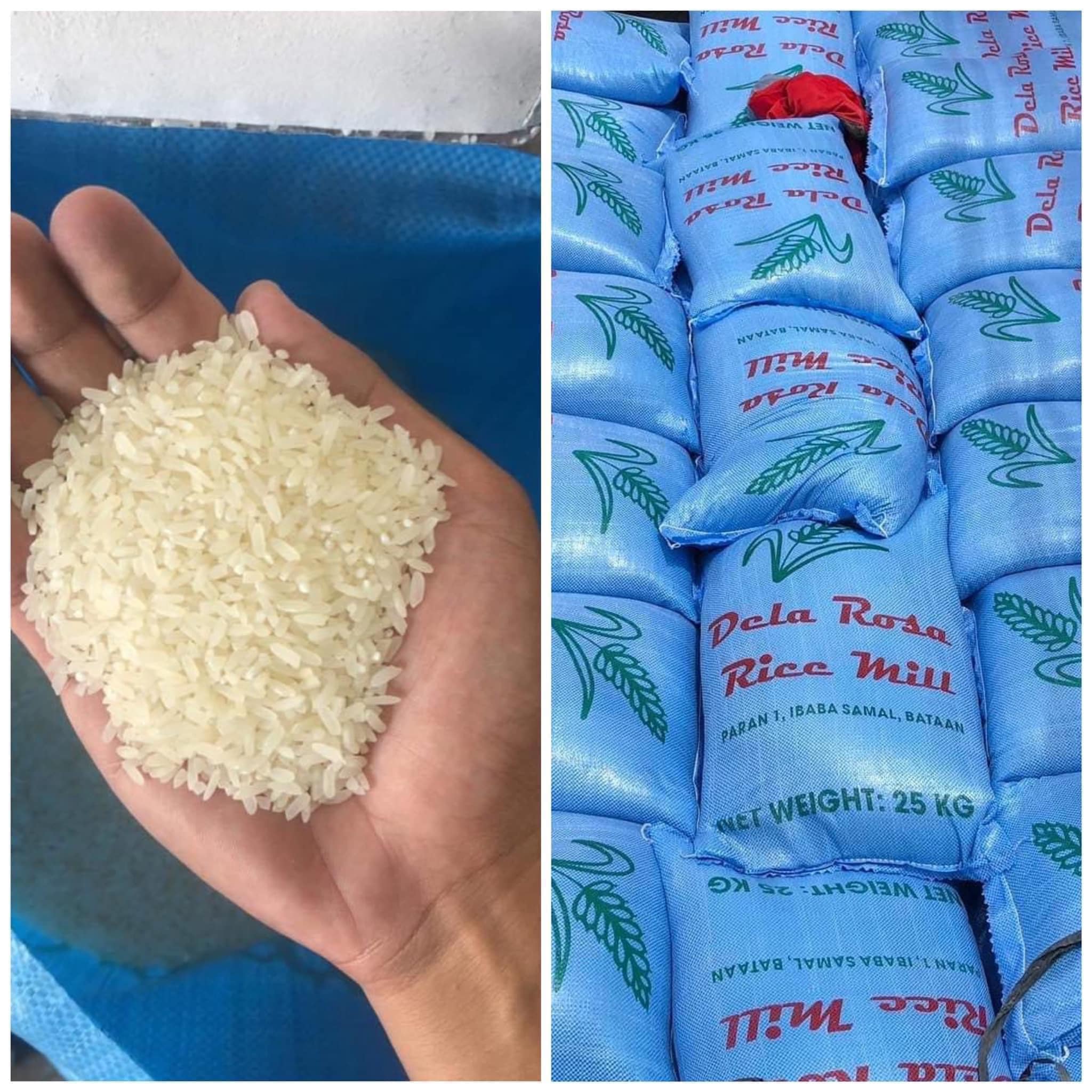 Rice To Go - Bataan | Lubao