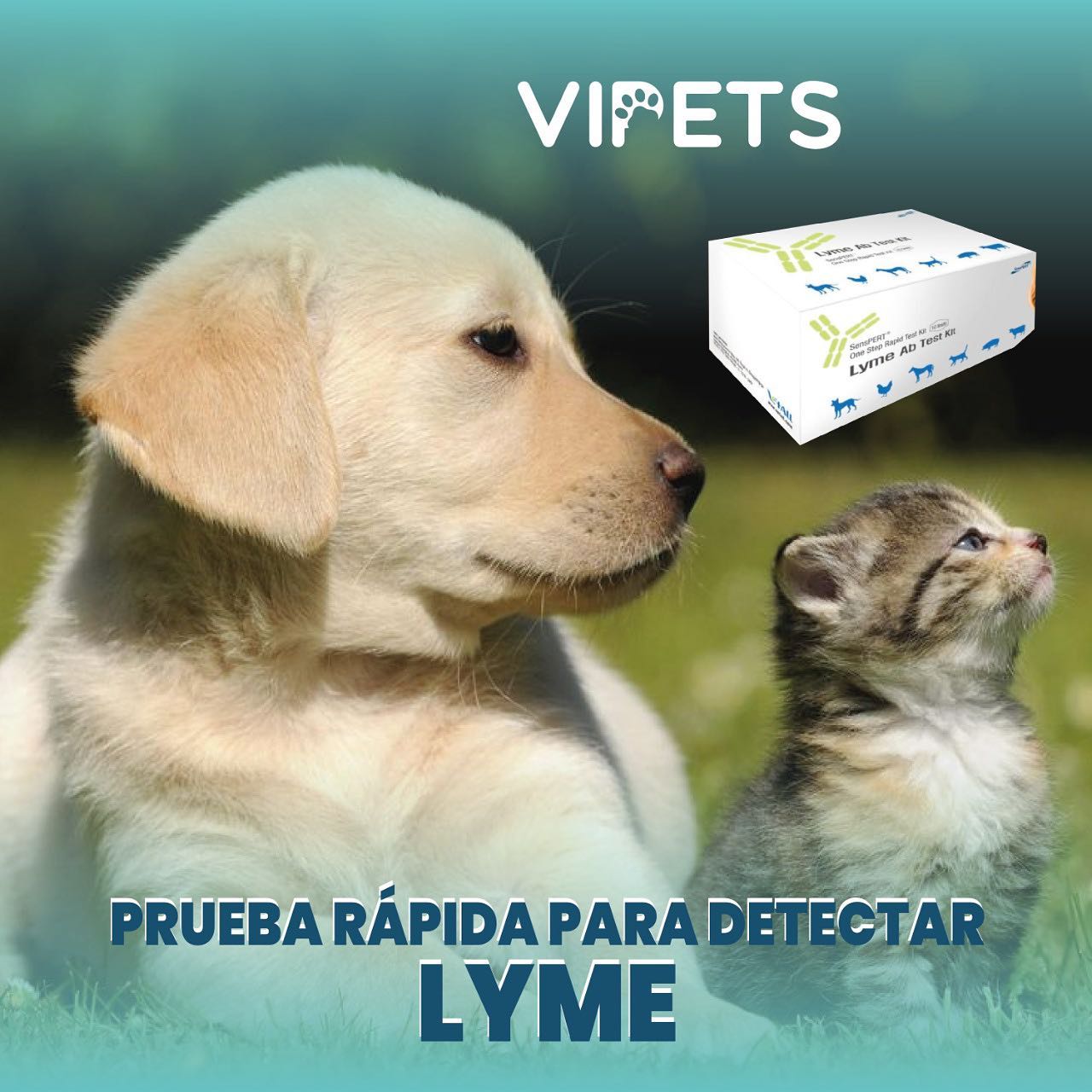 Vipets - Las garrapatas pueden representar un peligro para...
