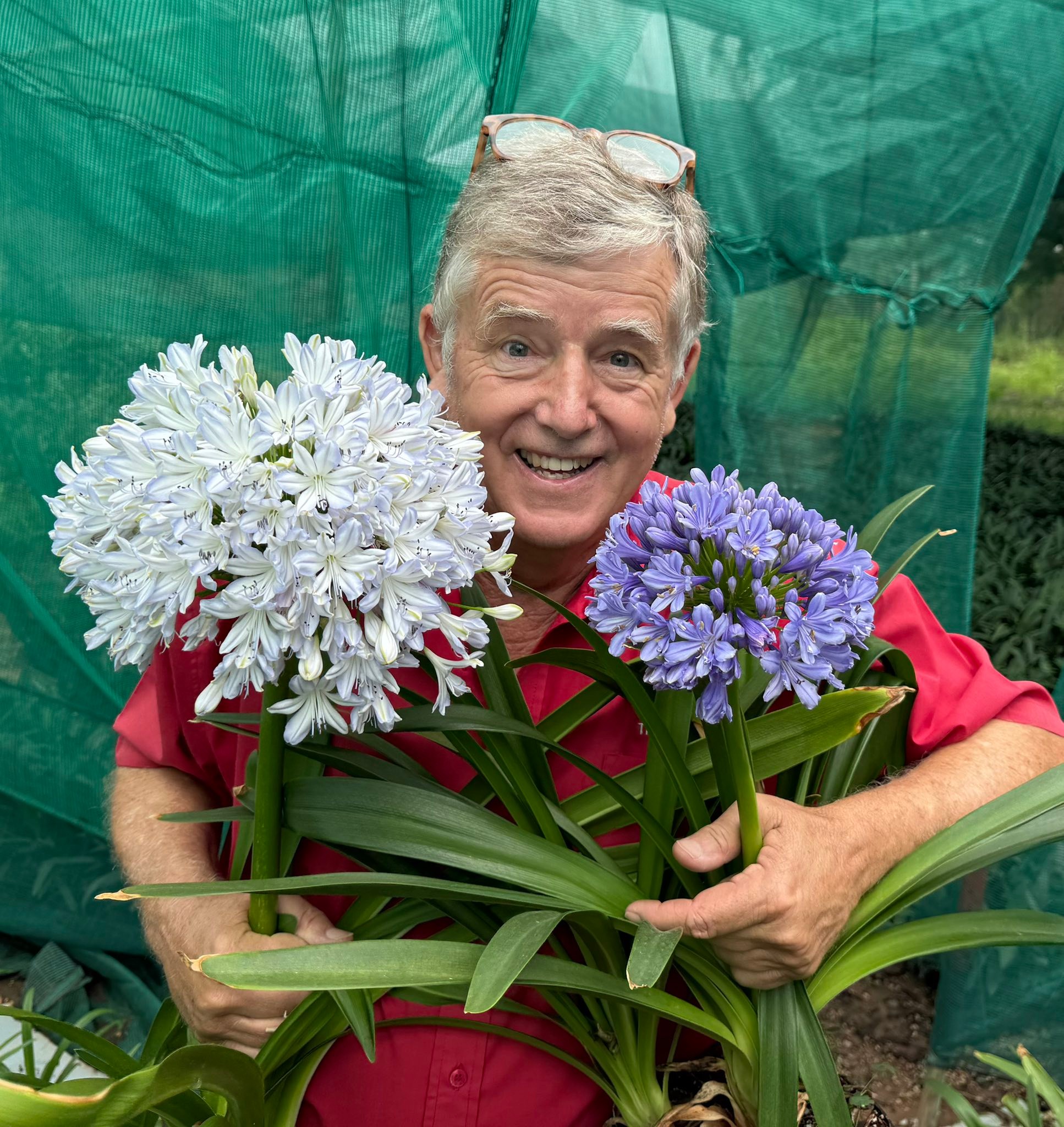 the-aloe-enjoying-some-of-our-unique-agapanthus-babies-facebook