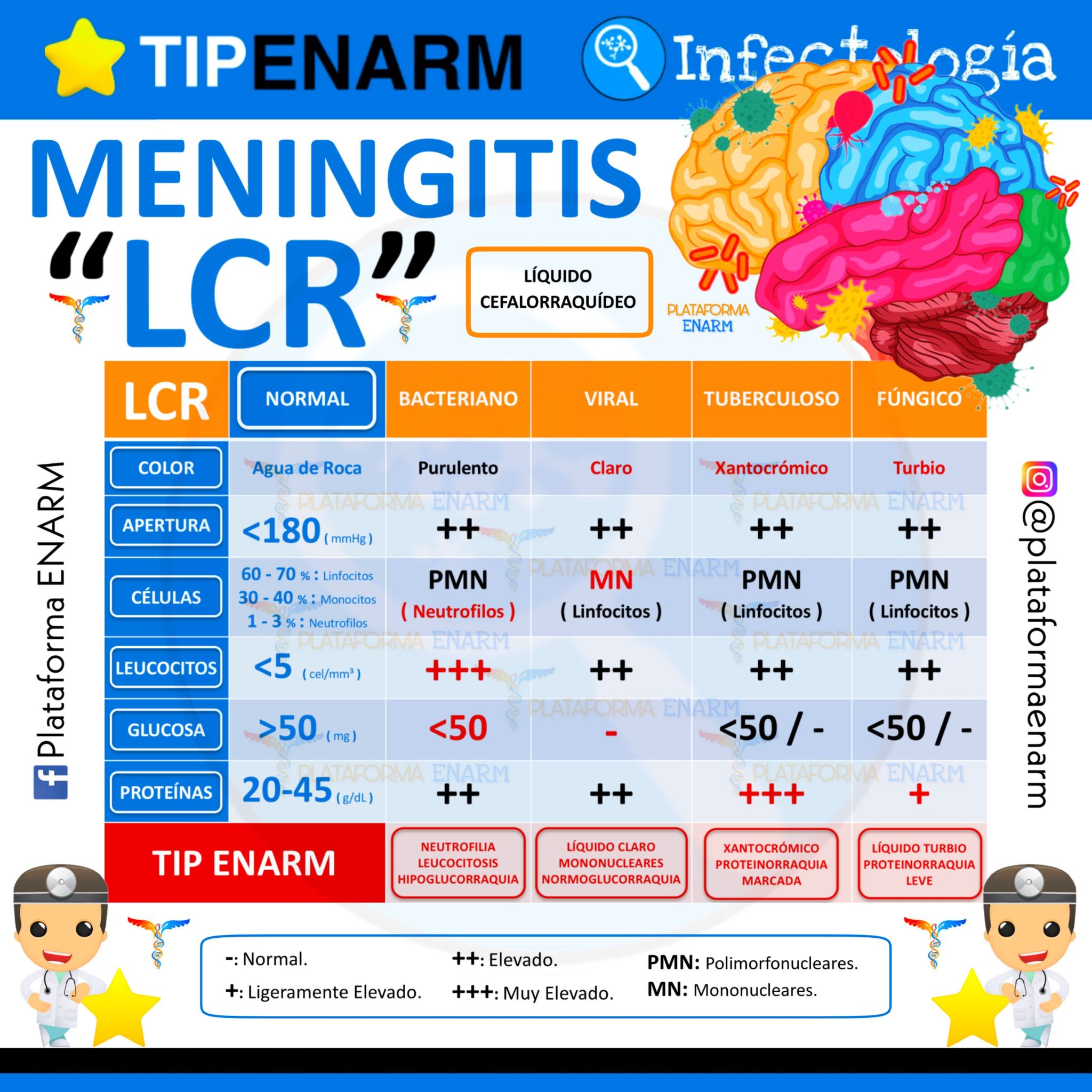 MENINGITIS LCR 🧠... - Plataforma ENARM | Facebook