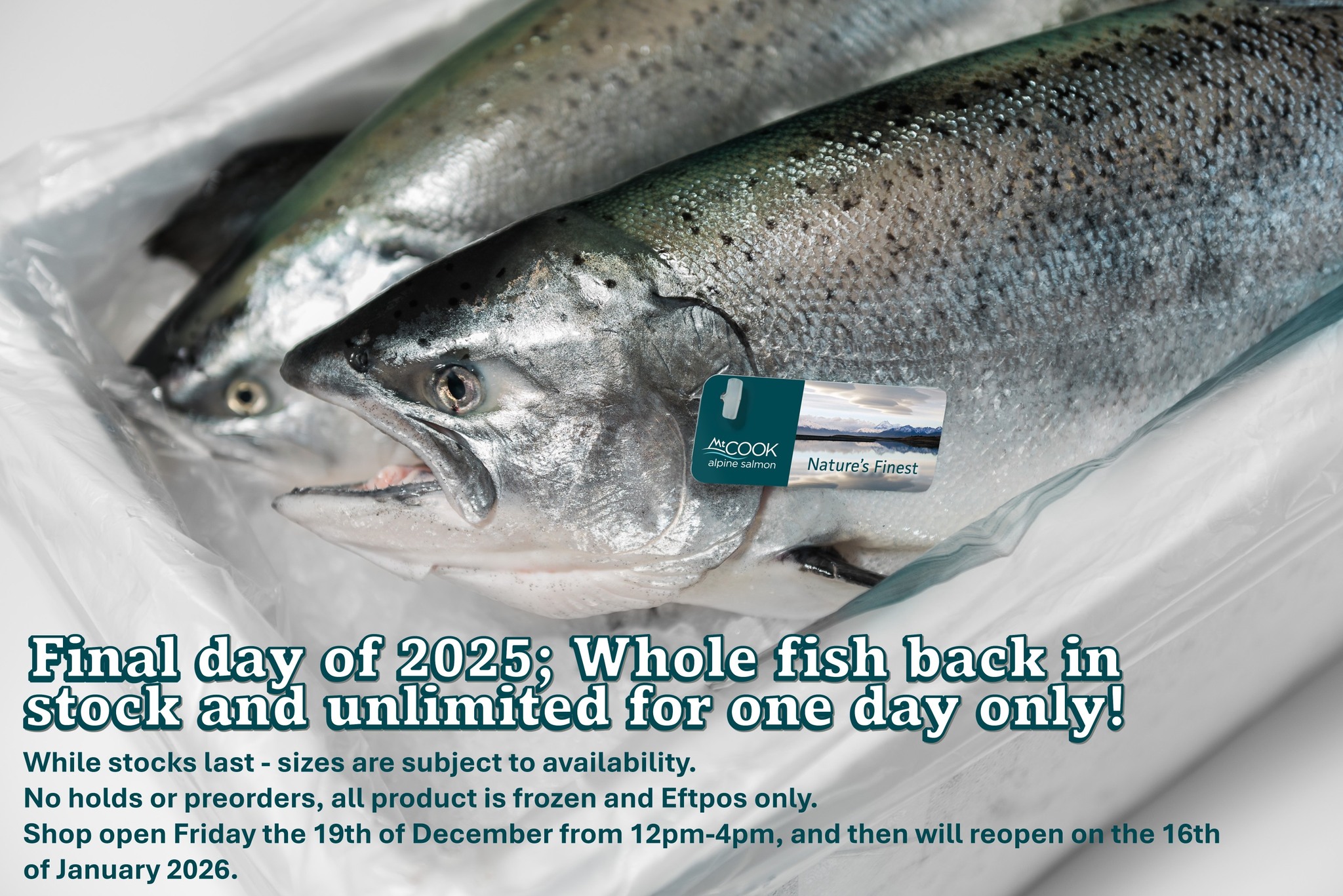 Mt Cook Alpine Salmon- Factory Shop | Timaru