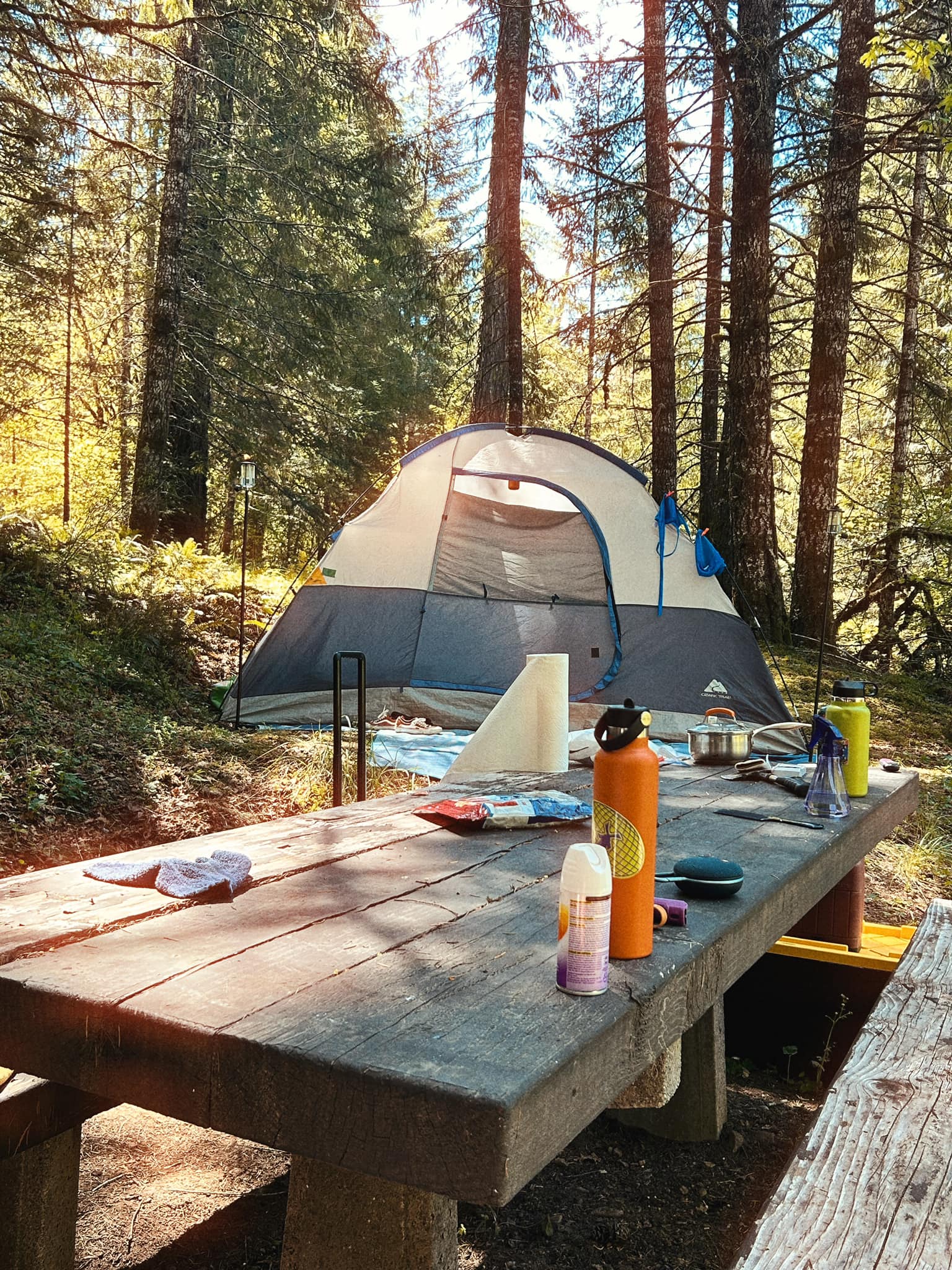 zelt falten Familie Camping Strand Pop-up Tragbare Einfach zu Bedienen Trekking Camping Reisen Sport & Freizeit Pedal Type:Automatic How to find high-quality sys_PS4