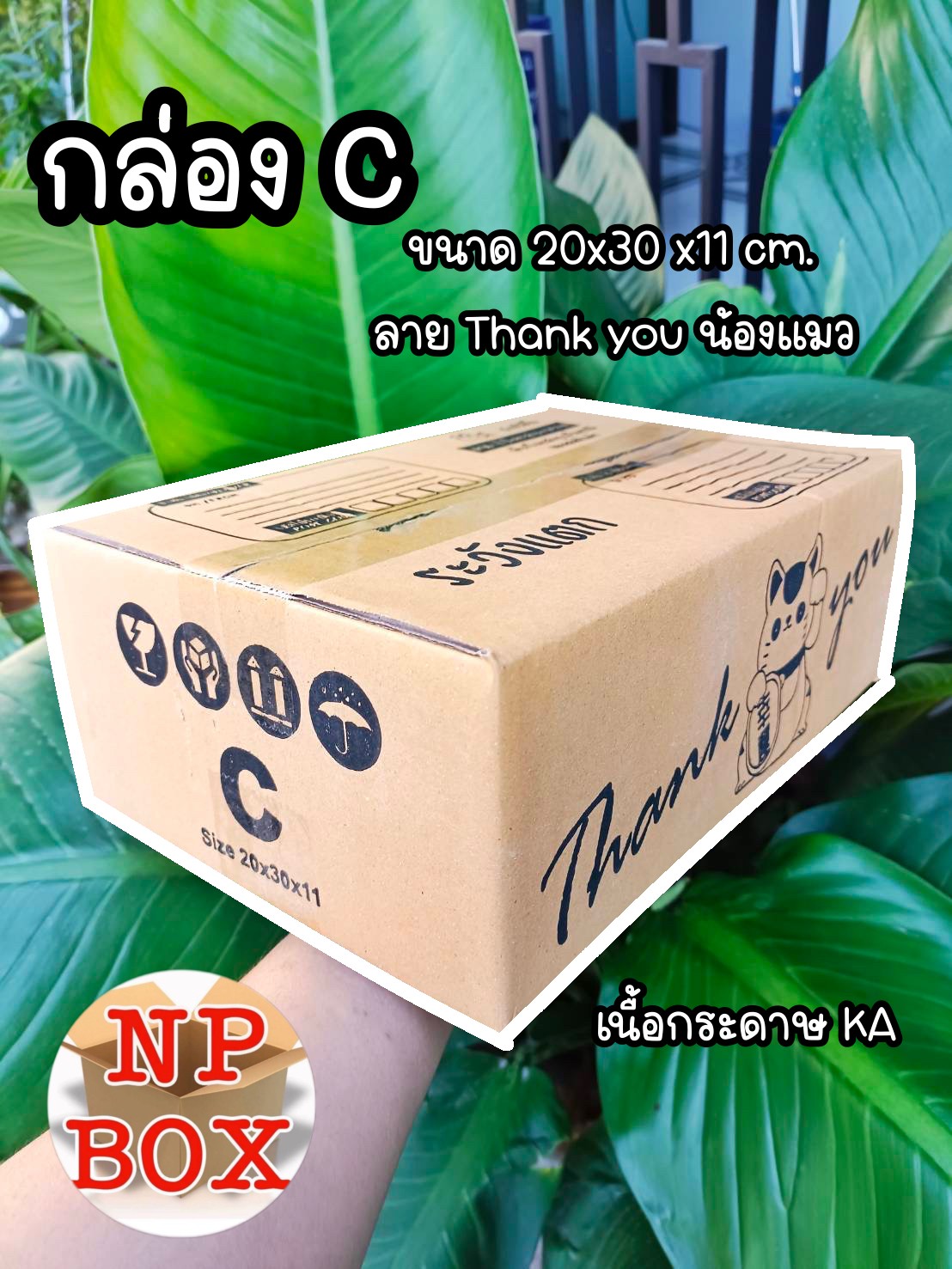 กล่องเบอร์ C ลายน้องแมว... - Np Box กล่องไปรษณีย์ราคาถูกโคราช | Facebook