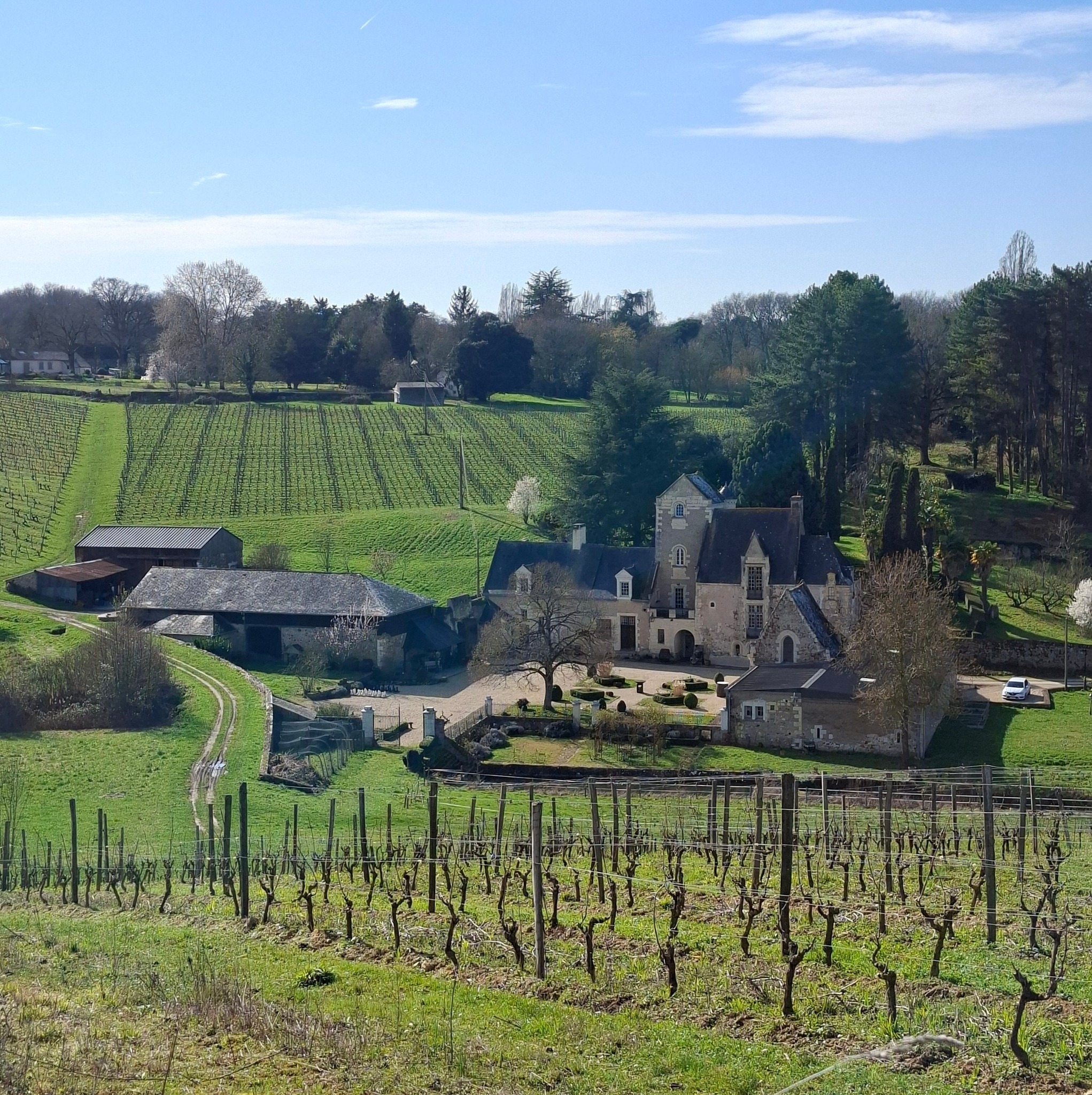 Château de Cheman | Blaison