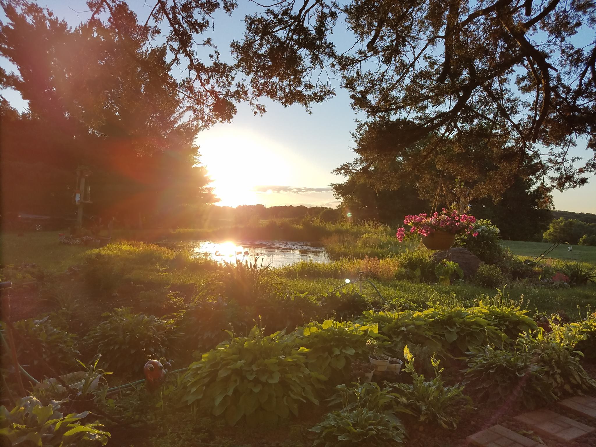 Lily Pond Farm | Forest Lake MN