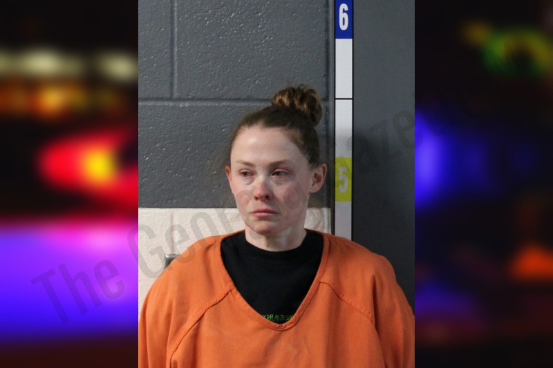 Brittany Jamison:... - Lumpkin County Crime | Facebook