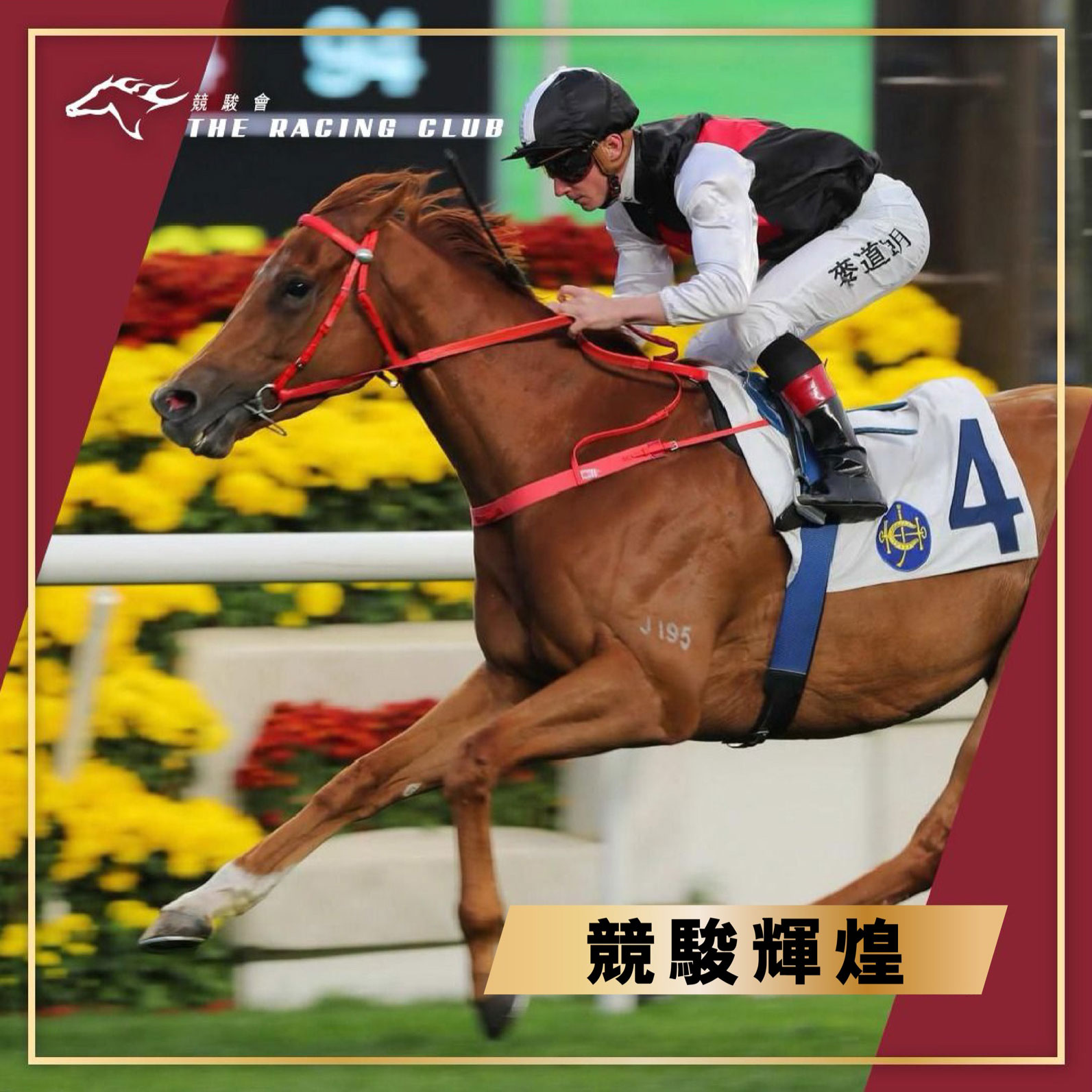 HKJC Racing - 麥道朗來港客串再有好表現... | Facebook