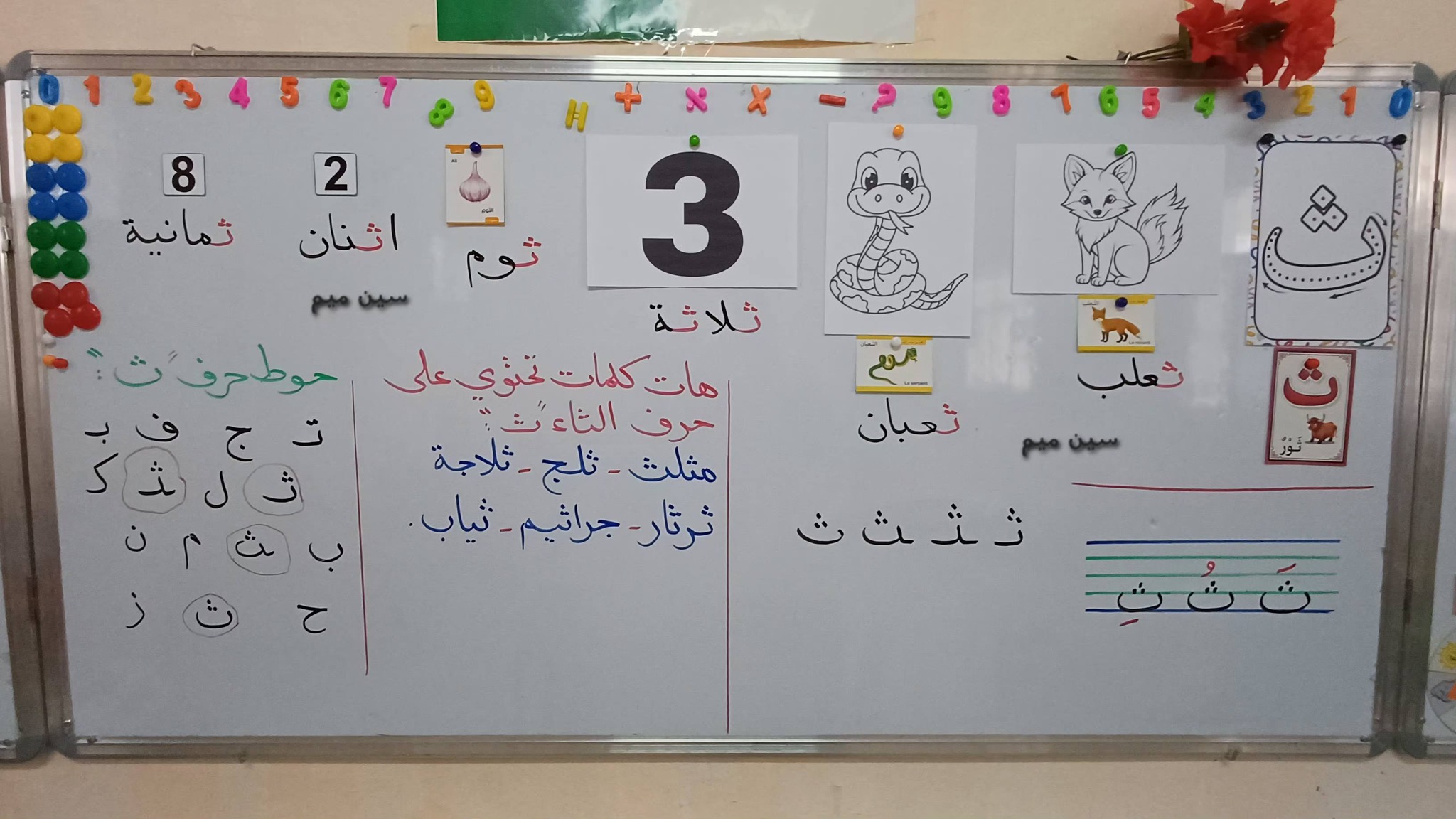 سين ميم - ‎سين ميم‎ added a new photo.